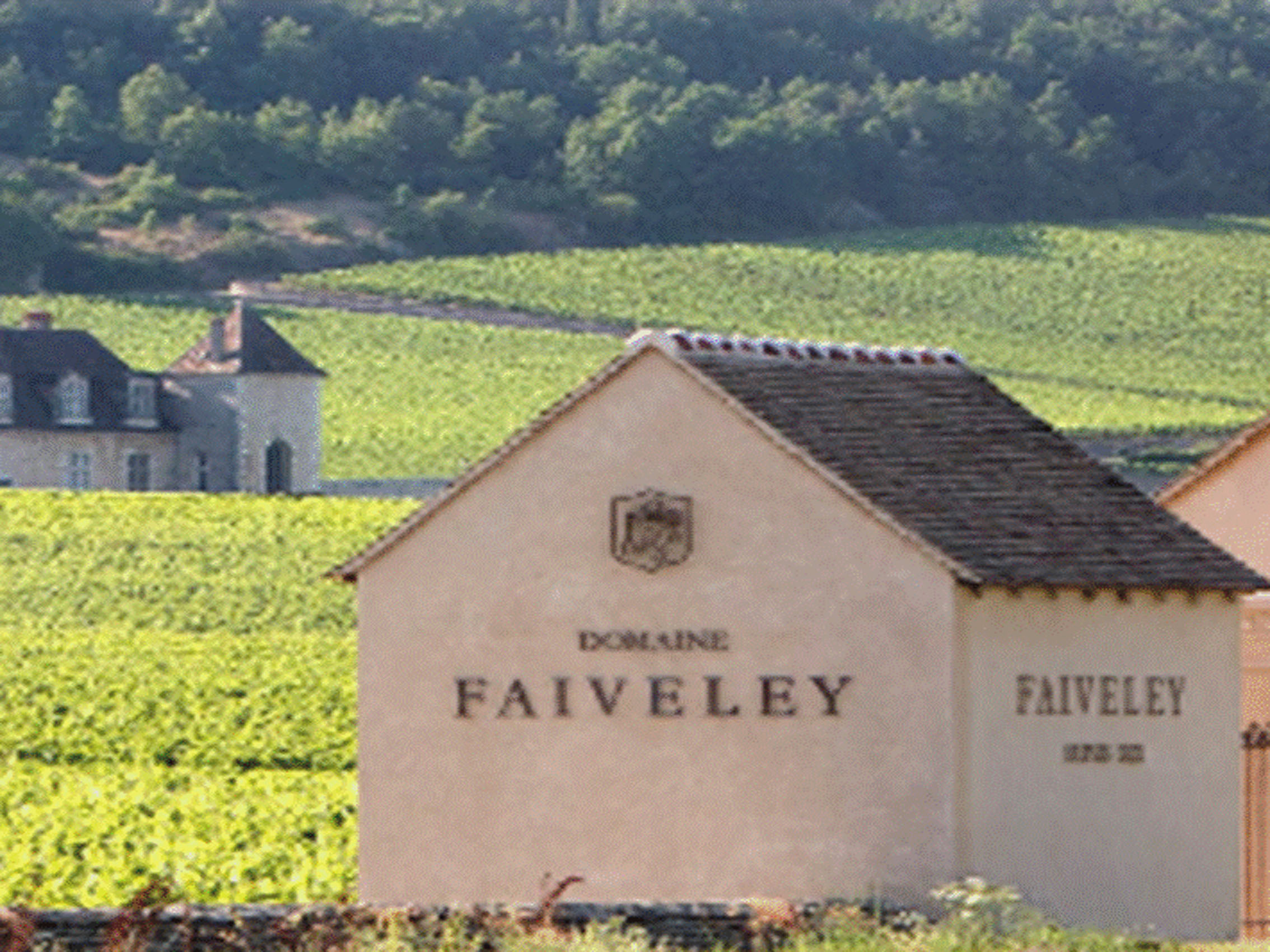 rượu vang domaine faiveley mercurey clos rochette monopole 2021