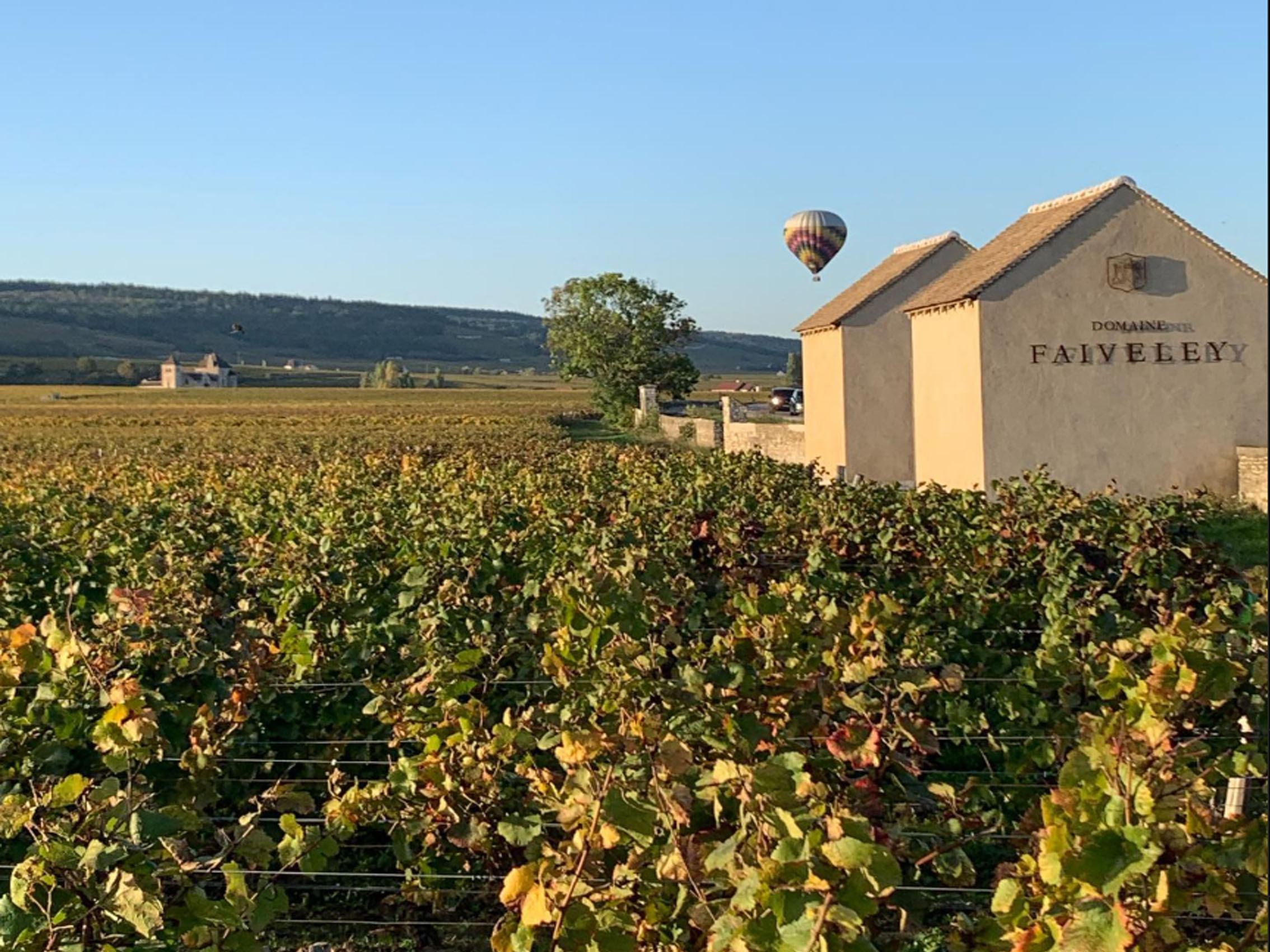 rượu vang domaine faiveley mercurey premier cru clos des myglands monopole 2020