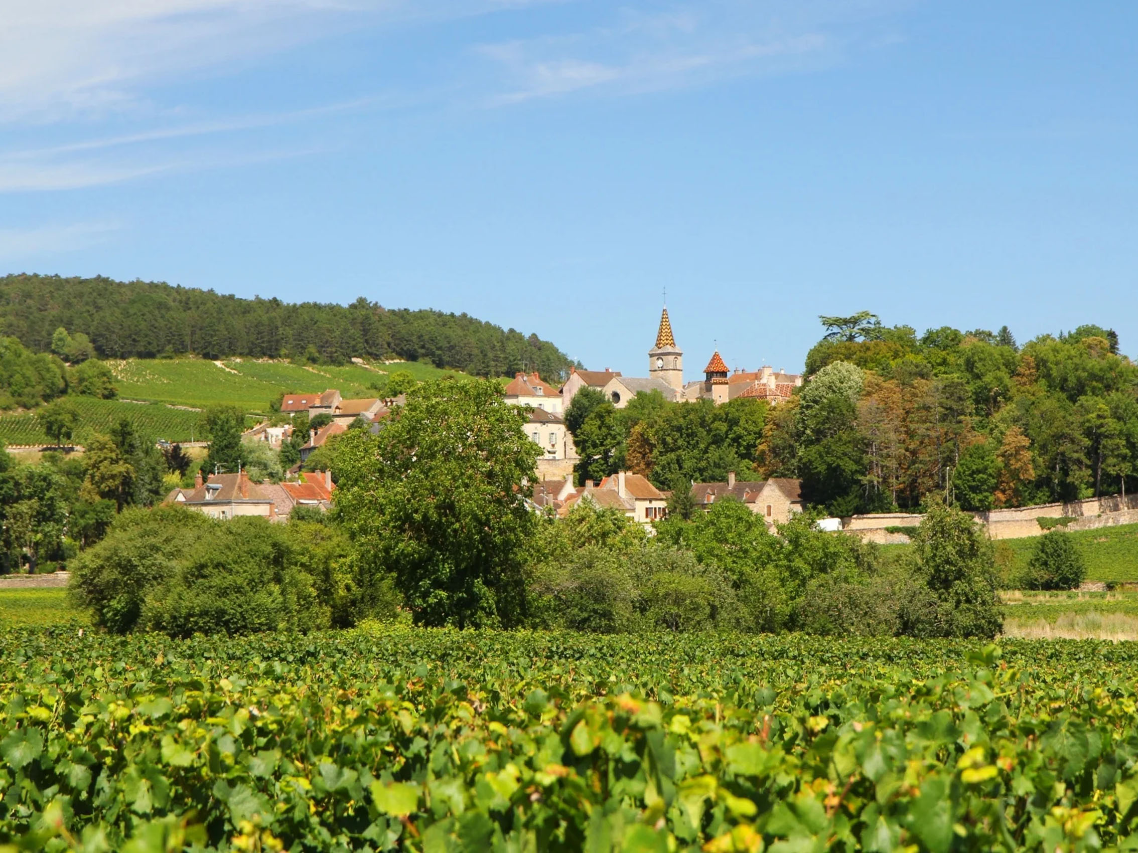 rượu vang domaine faiveley monthélie premier cru les champs fulliot