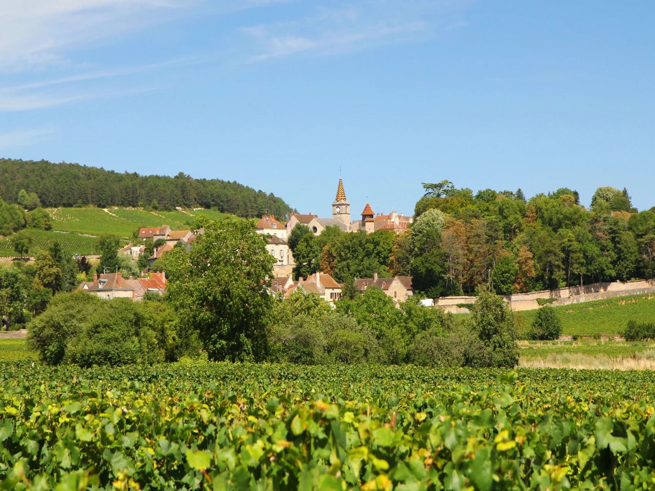 rượu vang domaine faiveley monthélie premier cru les duresses