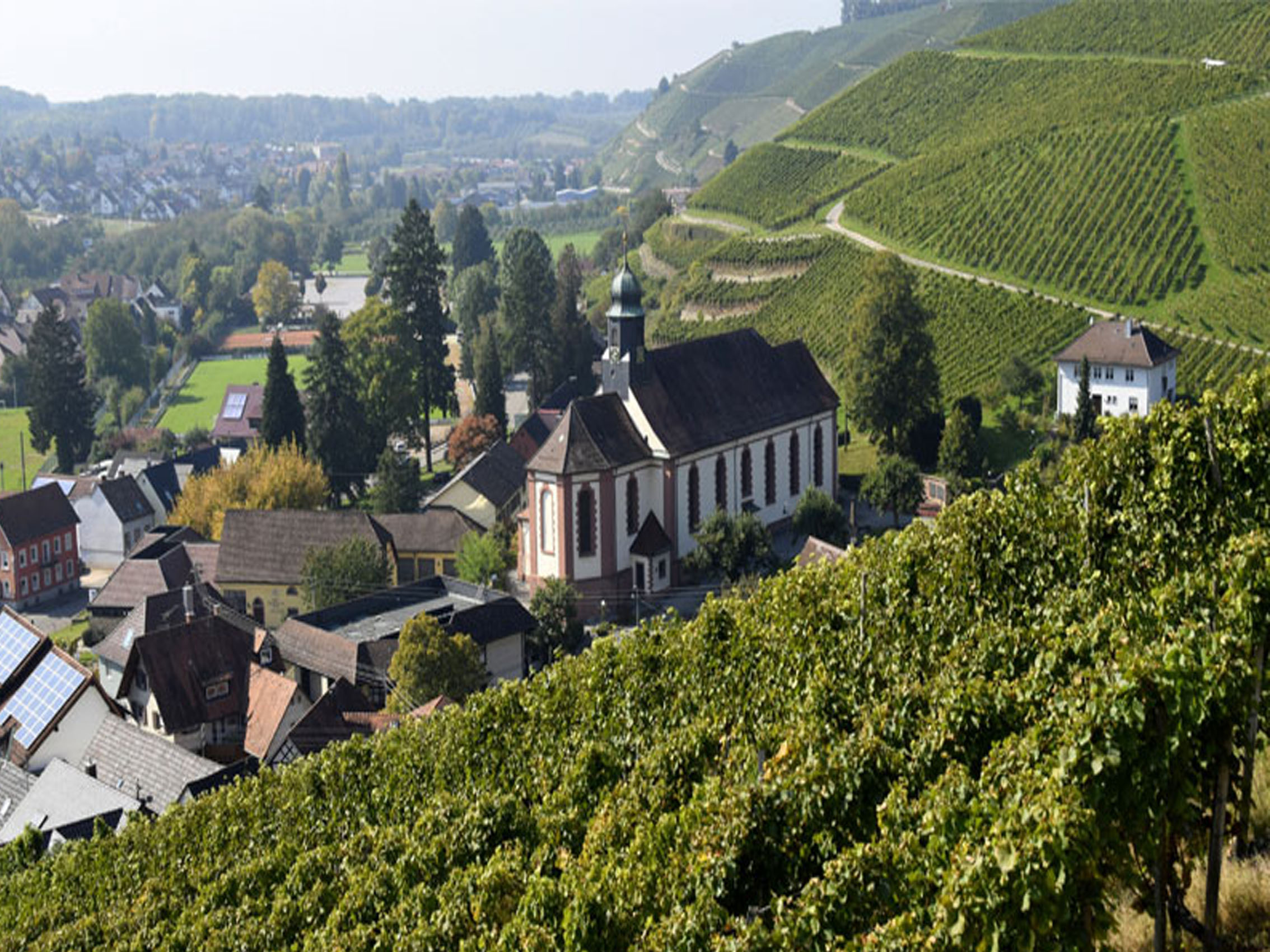 rượu vang domaine faiveley nuits-saint-georges les lavières