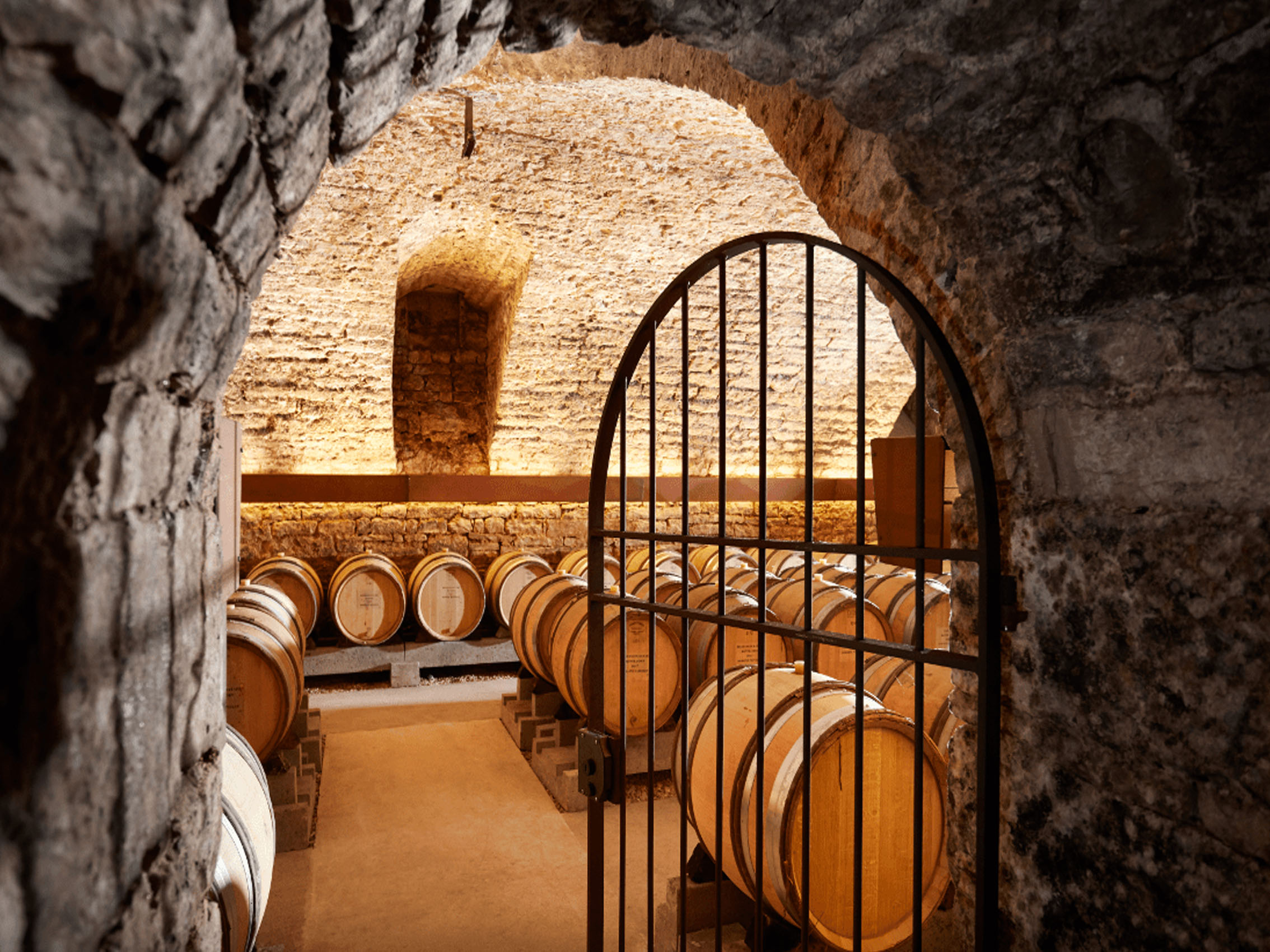 rượu vang domaine faiveley nuits-saint-georges les lavières