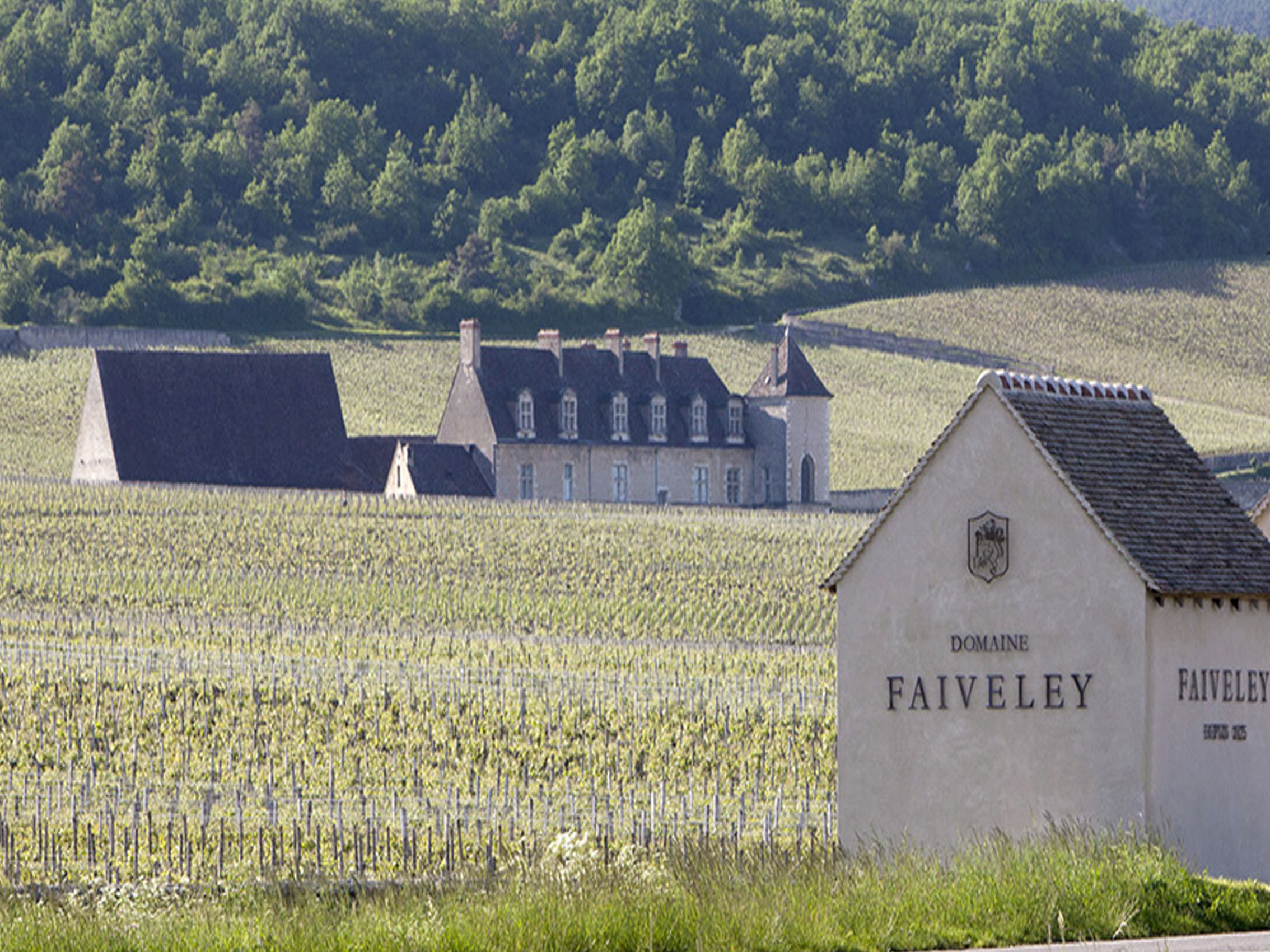 rượu vang domaine faiveley nuits saint georges premier cru les damodes