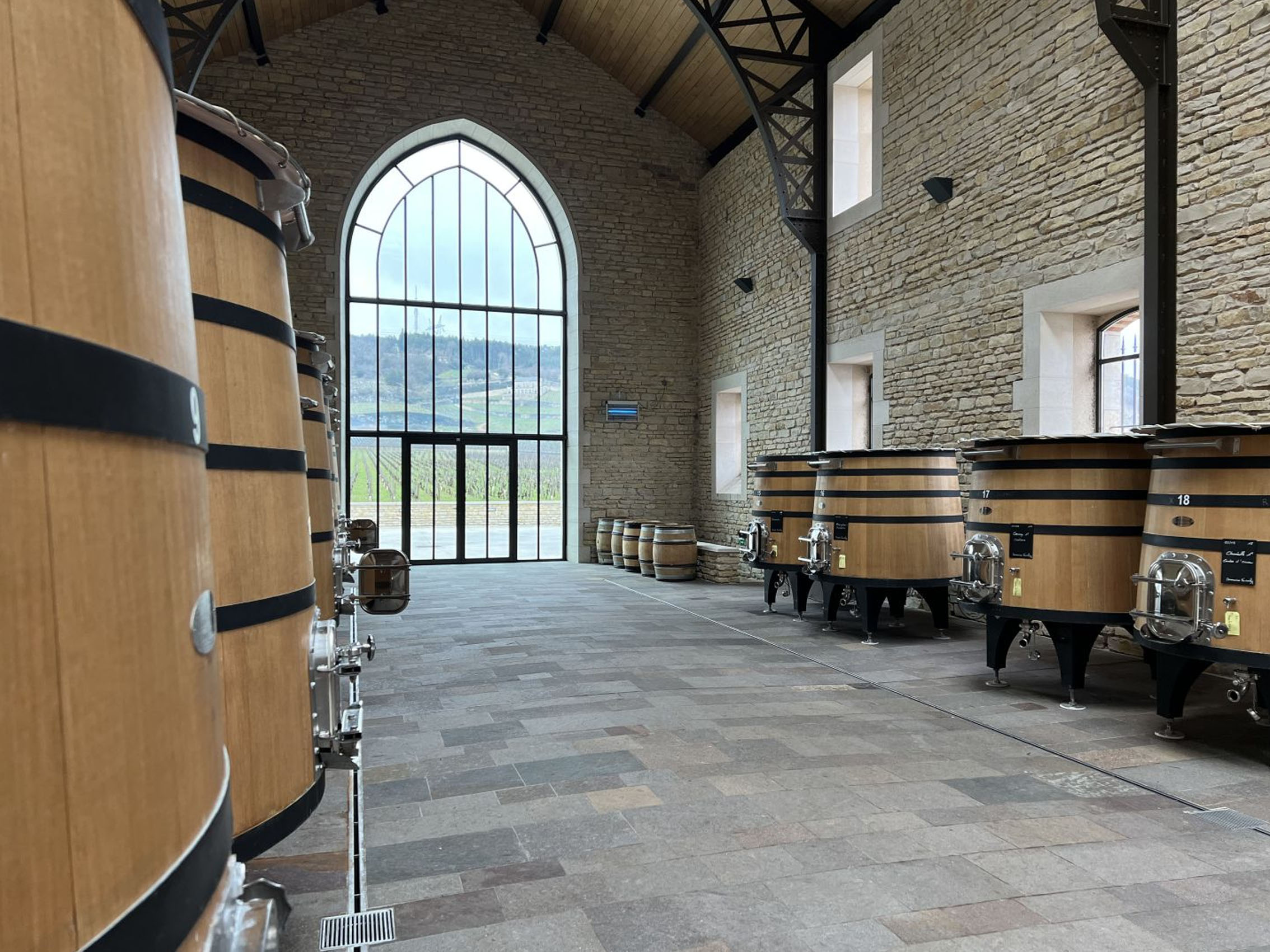 rượu vang domaine faiveley nuits saint georges premier cru les damodes