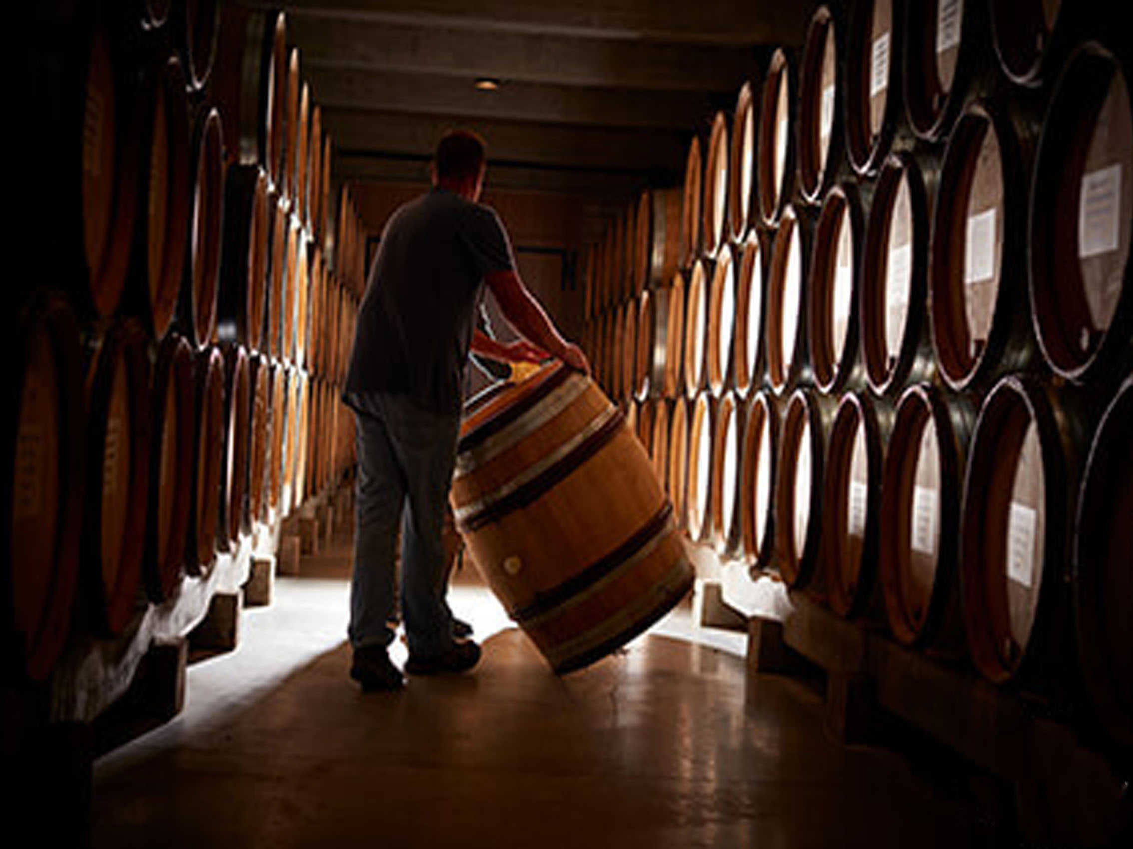 rượu vang joseph faiveley bourgogne chardonnay 2019