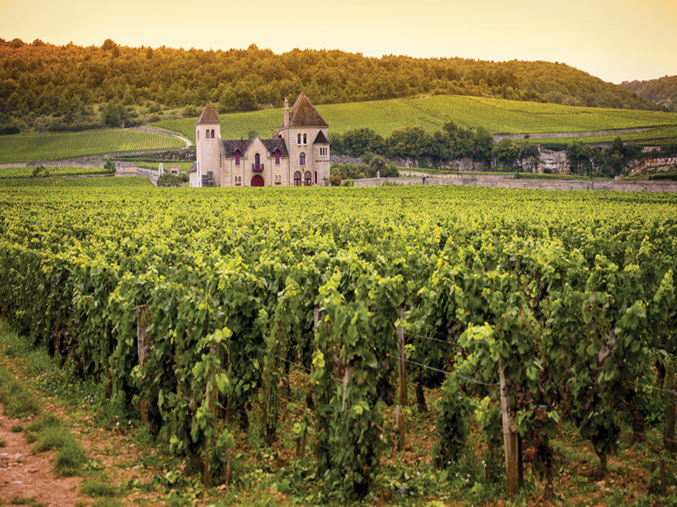 rượu vang joseph faiveley bourgogne pinot noir 2021