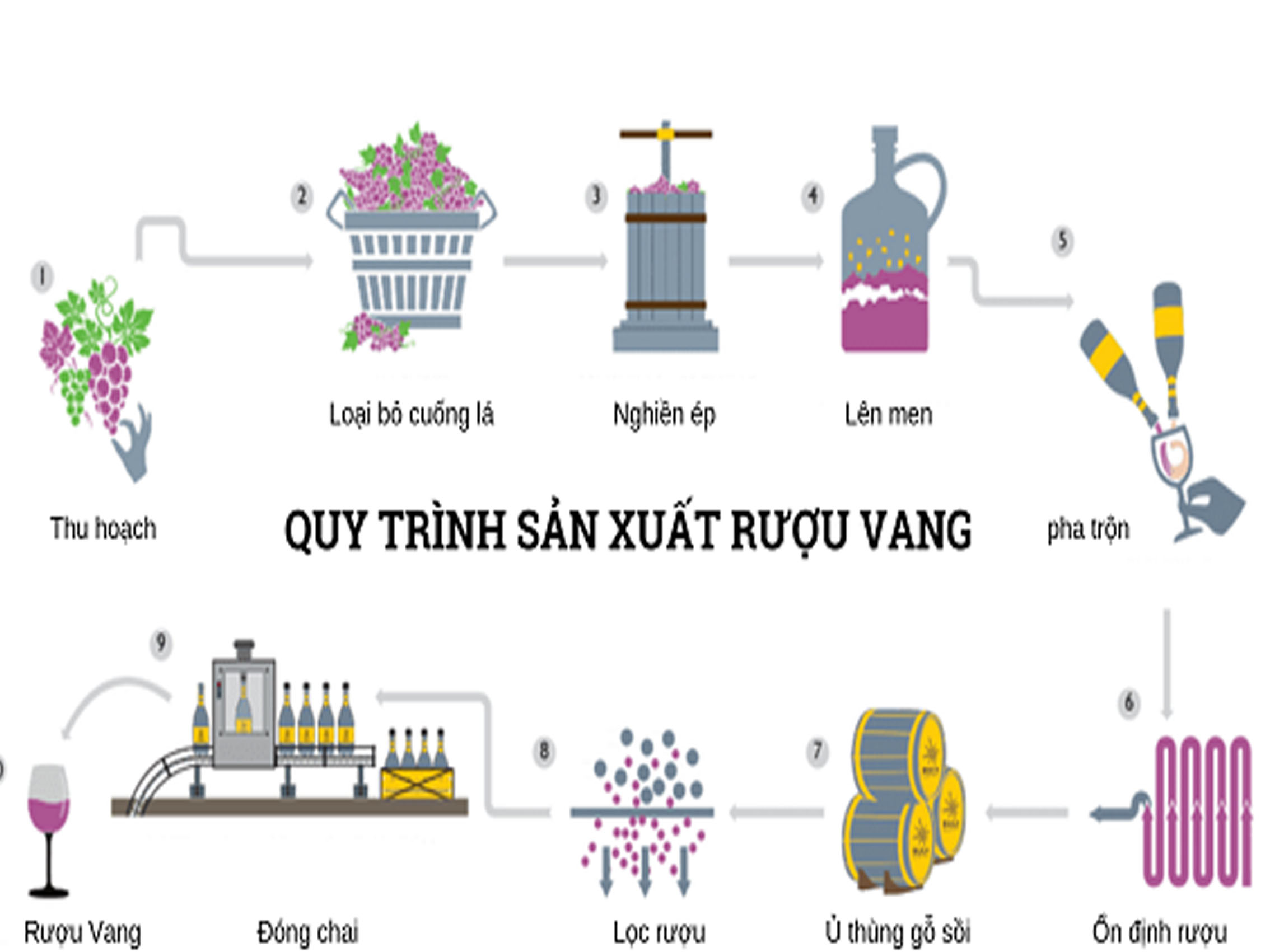 rượu vang joseph faiveley chambolle musigny premier cru les charmes 2013