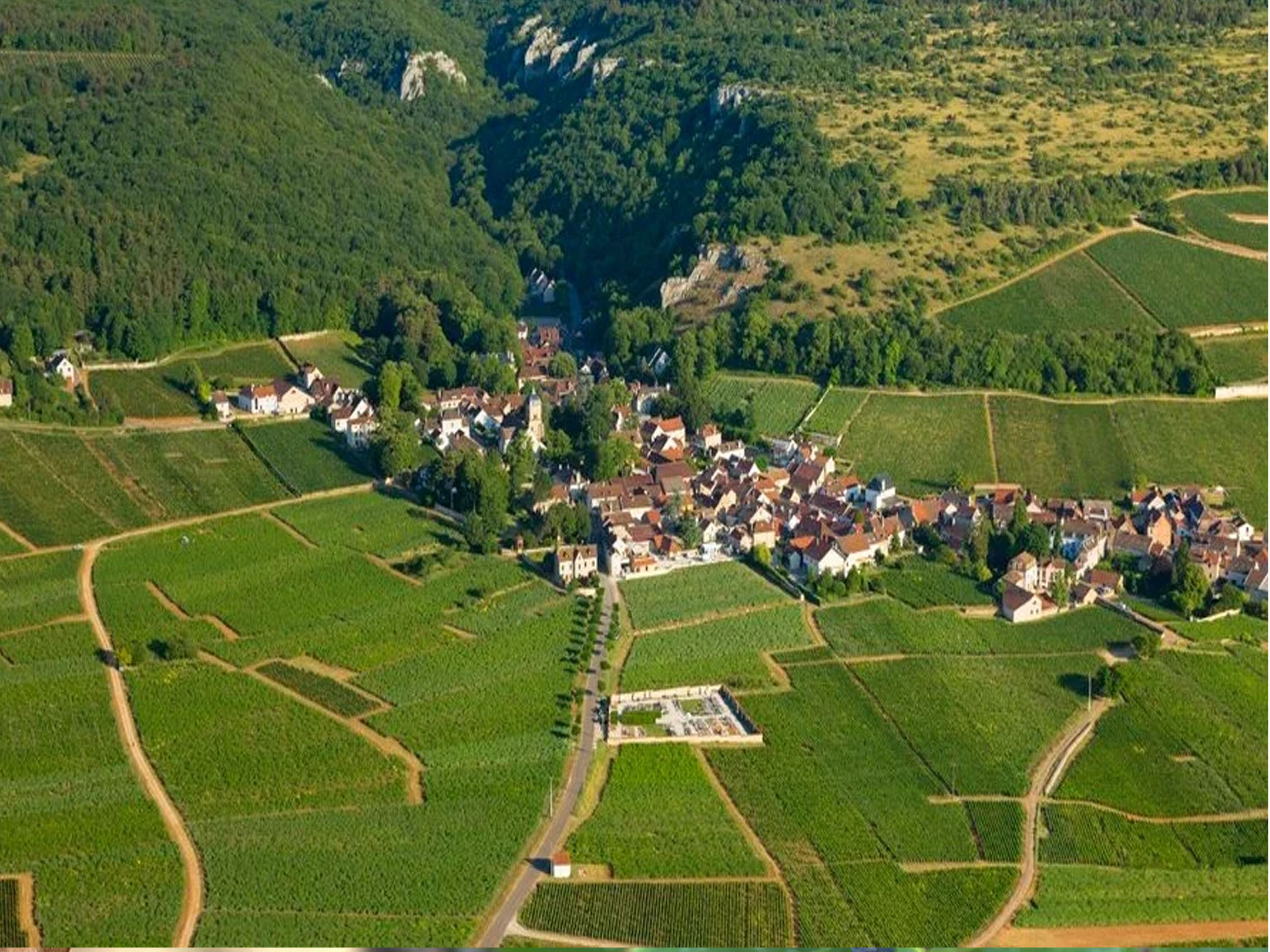 rượu vang joseph faiveley chambolle musigny premier cru les charmes 2014