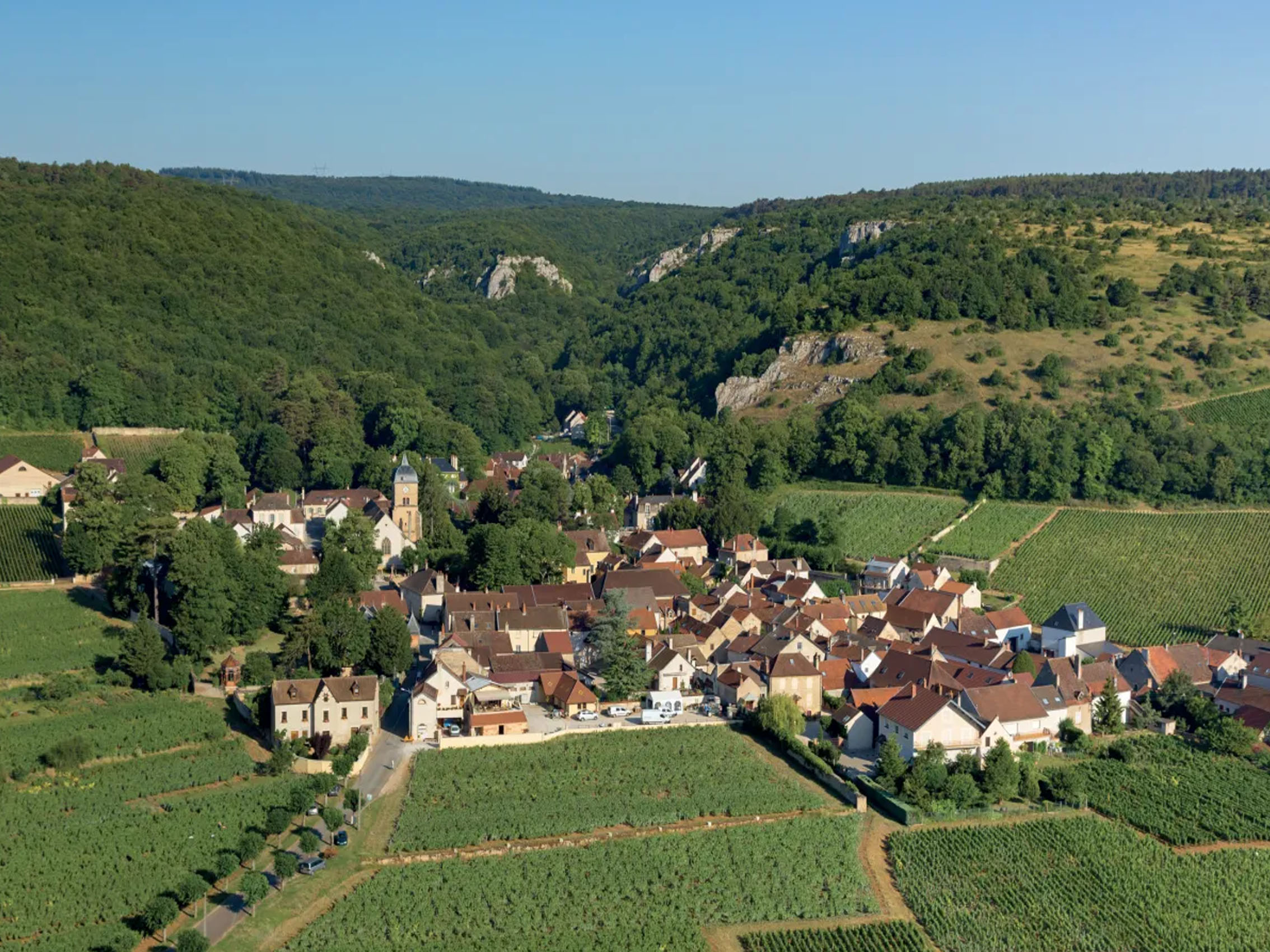 rượu vang joseph faiveley chambolle musigny premier cru les charmes 2017