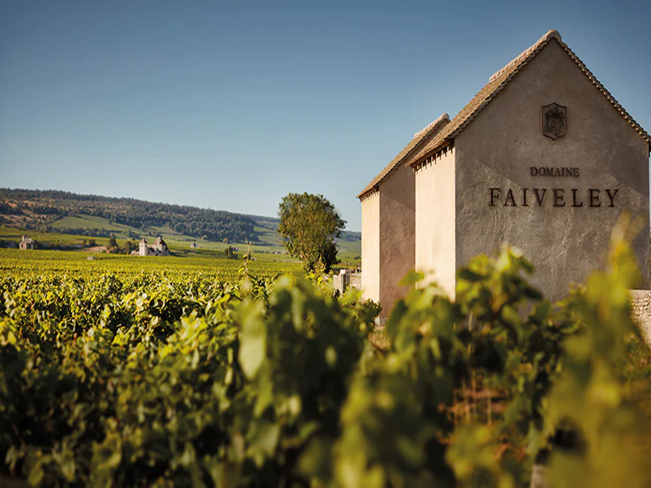 rượu vang joseph faiveley charmes chambertin grand cru