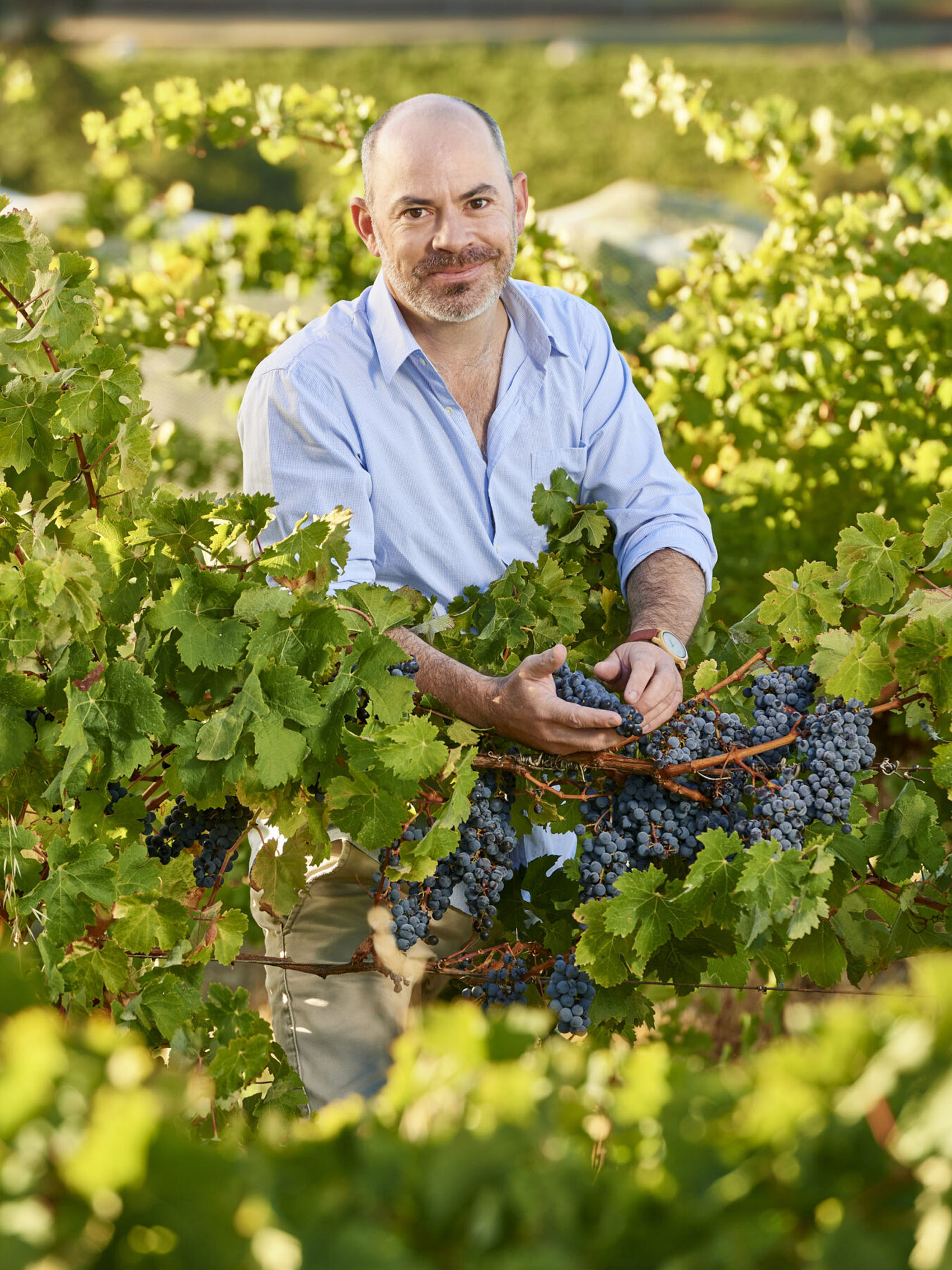 rượu vang joseph faiveley charmes chambertin grand cru