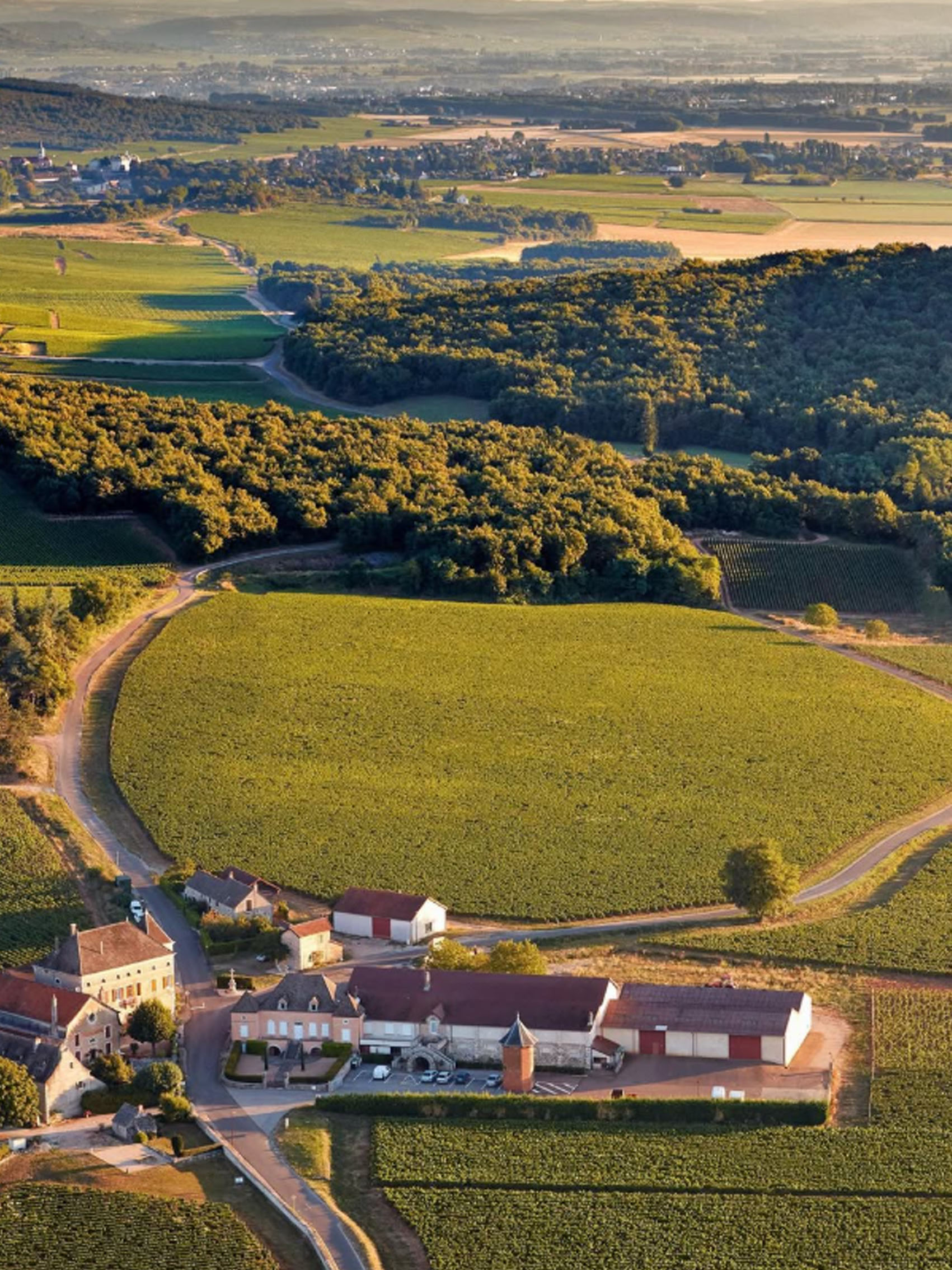 rượu vang joseph faiveley chassagne-montrachet