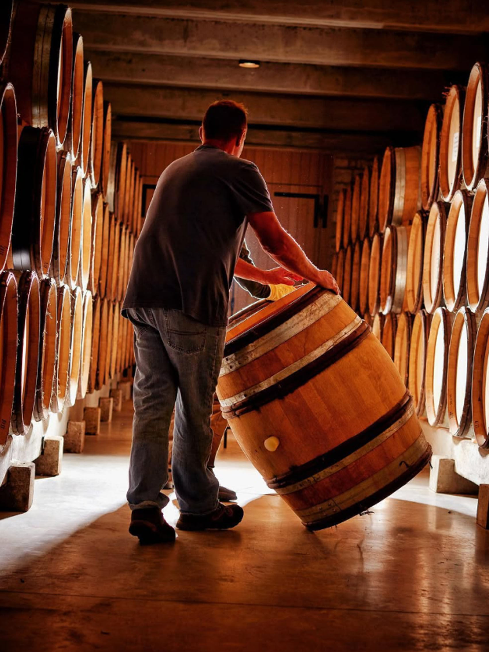 rượu vang joseph faiveley chassagne-montrachet premier cru le cailleret