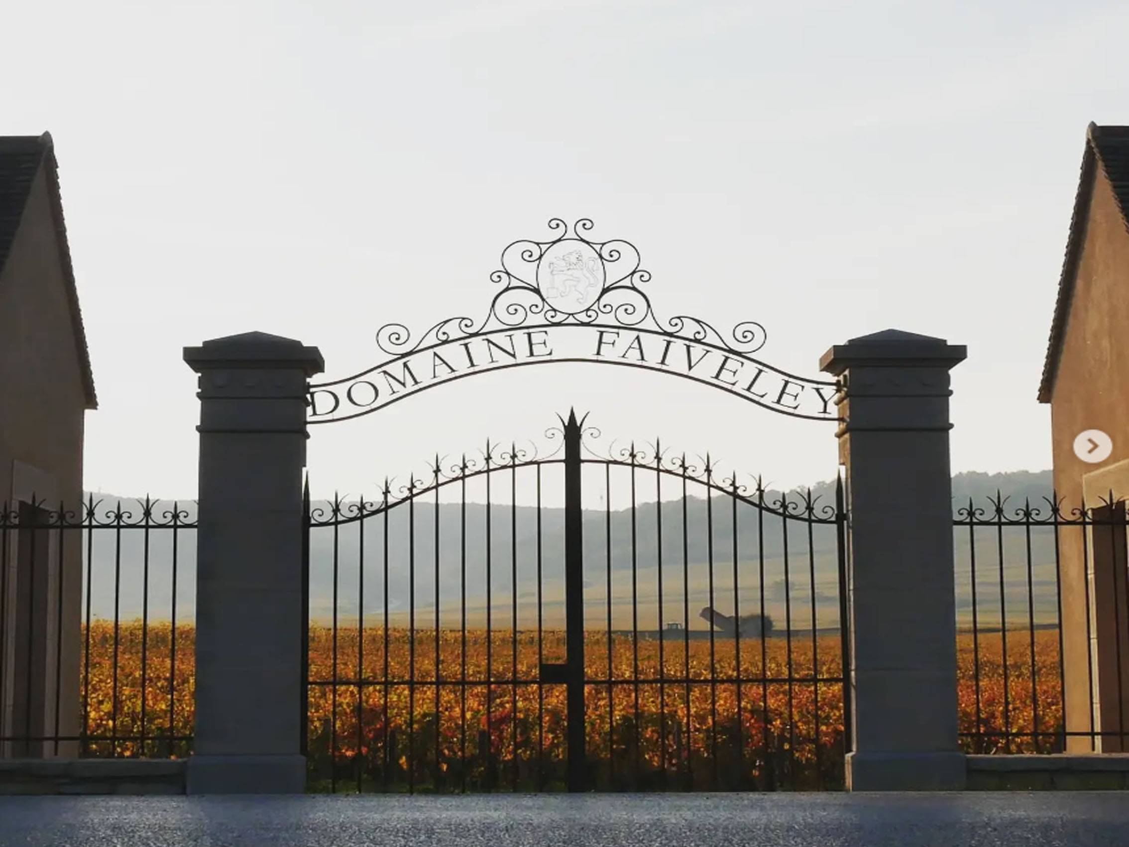 rượu vang joseph faiveley ladoix