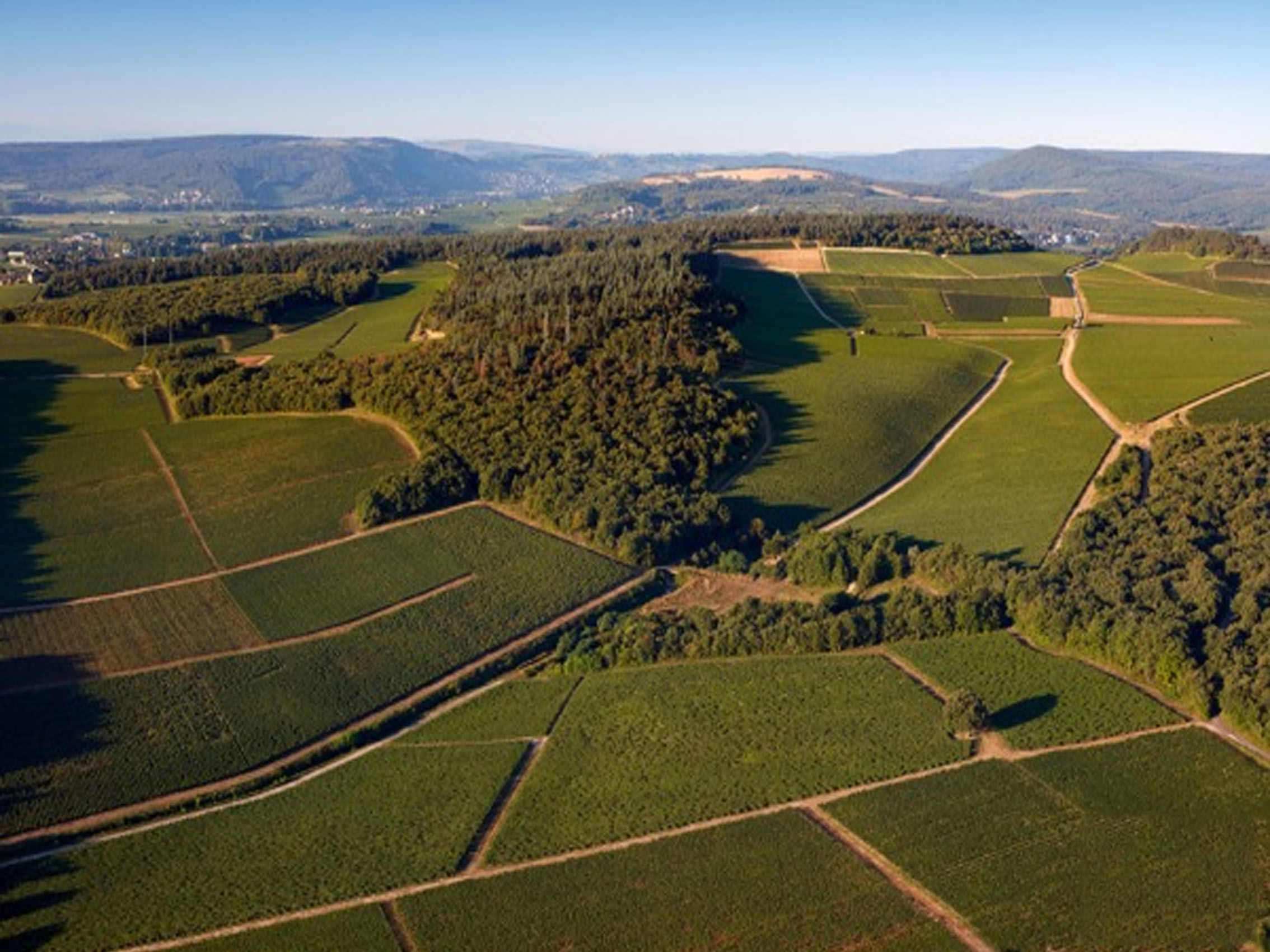 rượu vang joseph faiveley meursault