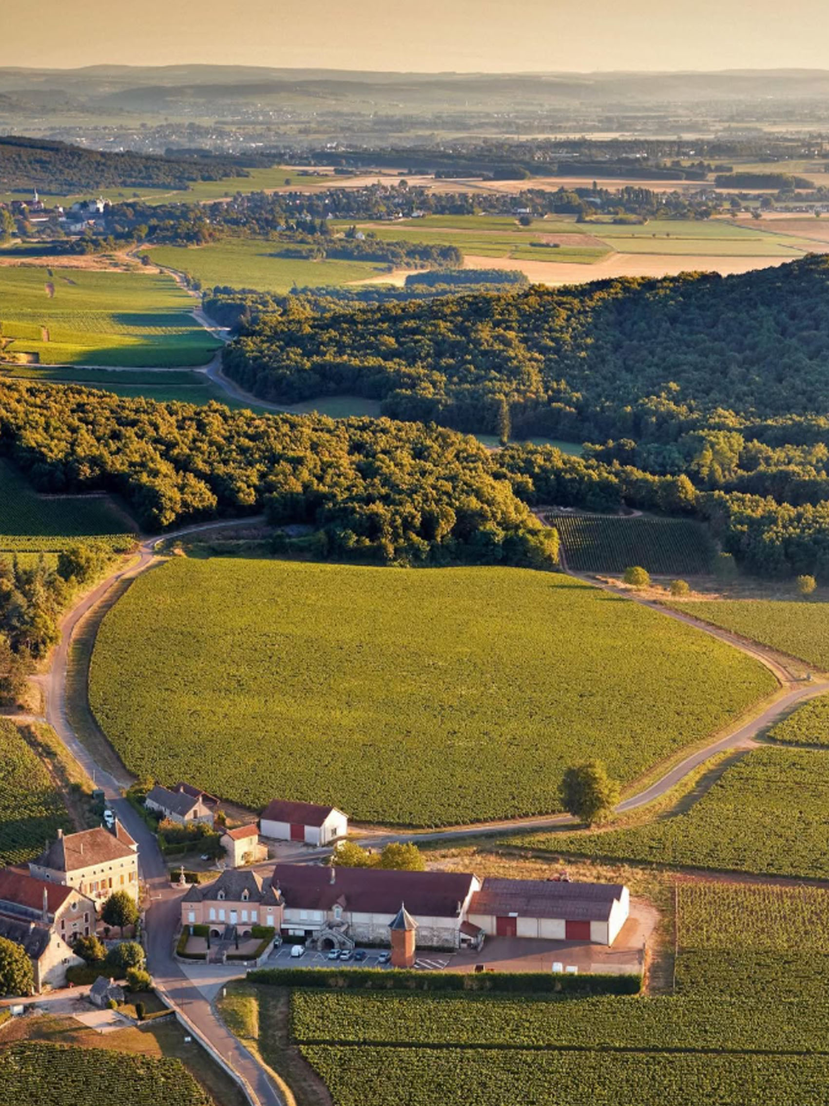 rượu vang joseph faiveley pommard