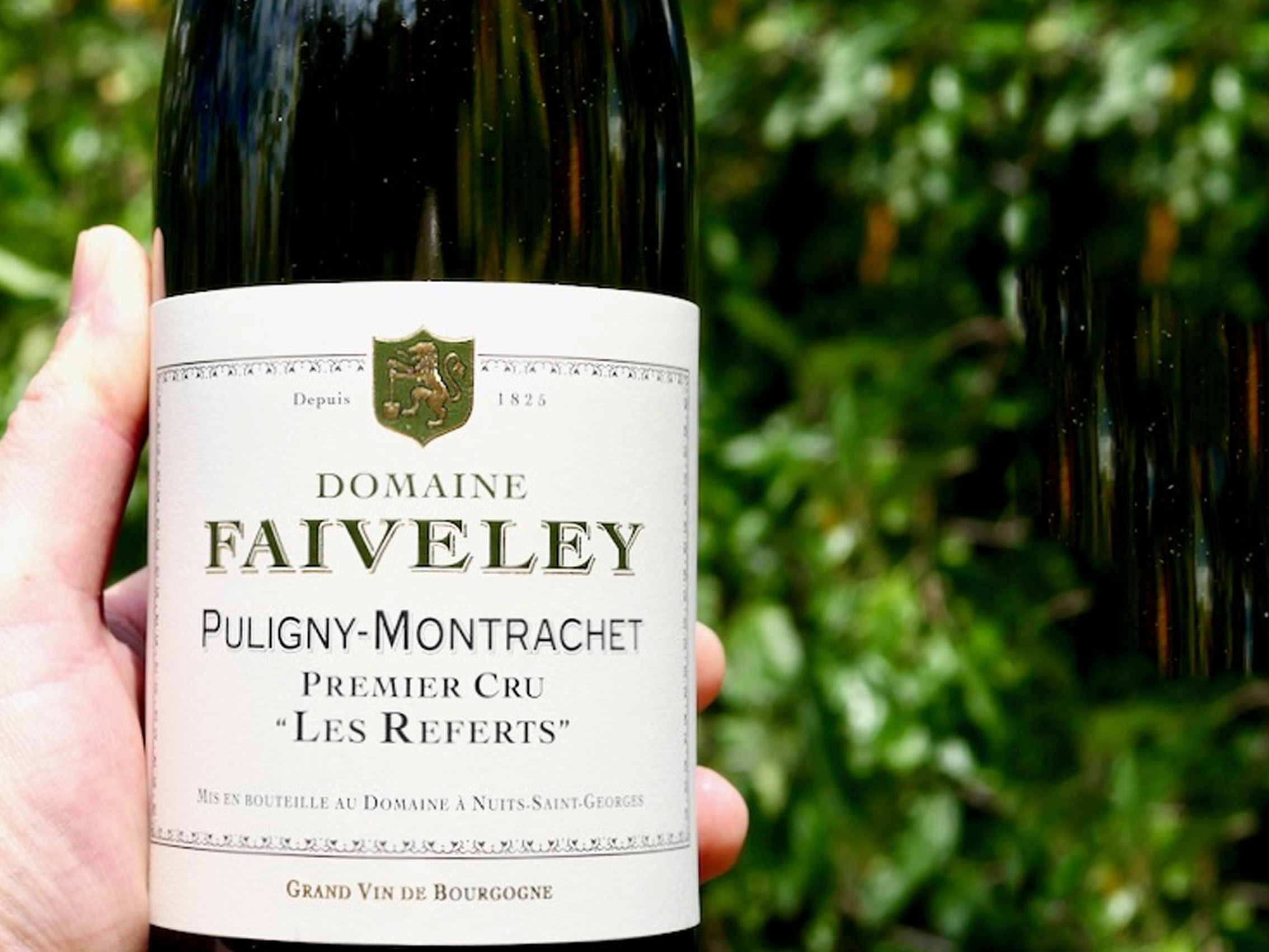 rượu vang joseph faiveley puligny-montrachet premier cru les referts