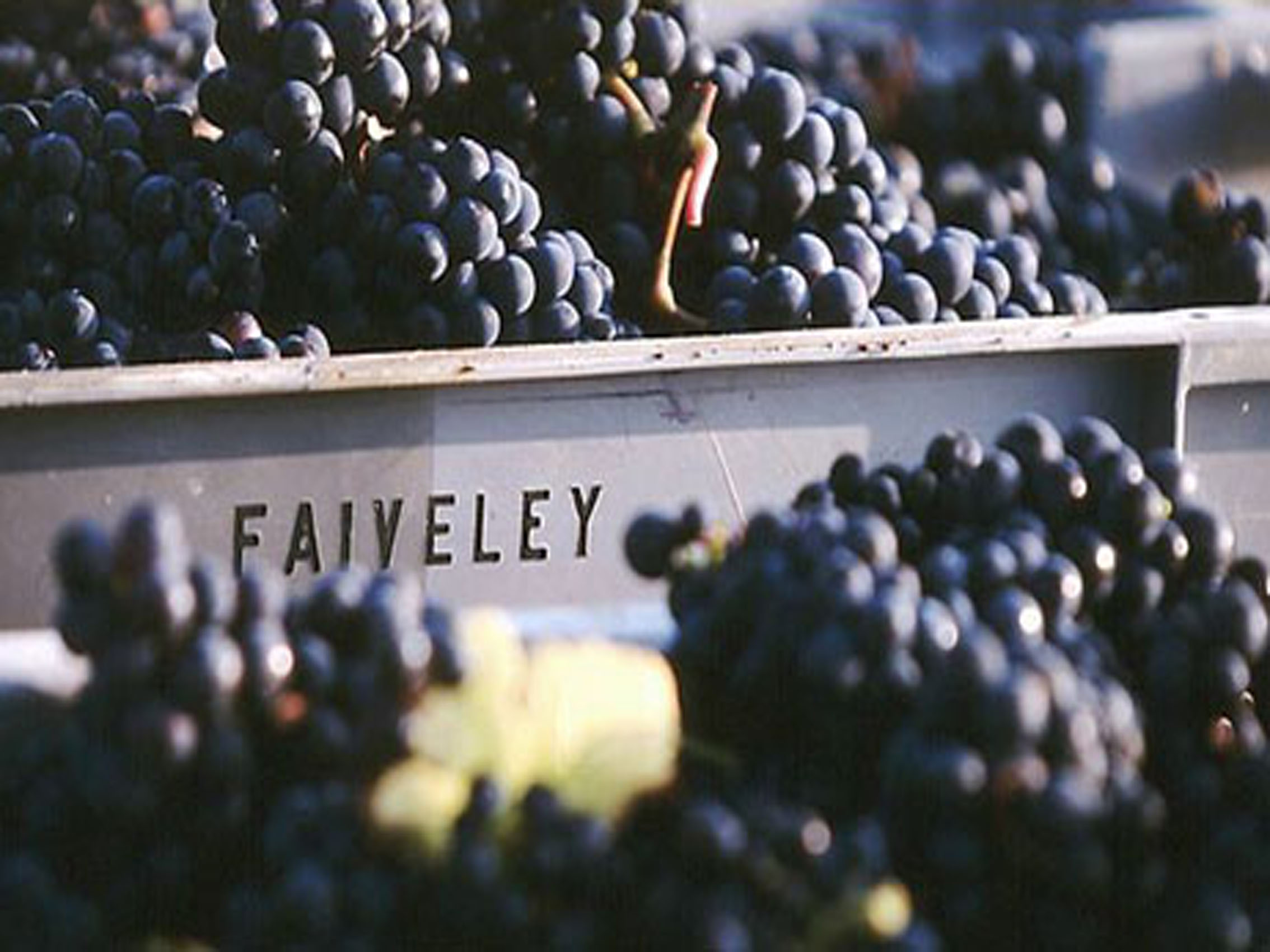 rượu vang joseph faiveley vosne-romanée