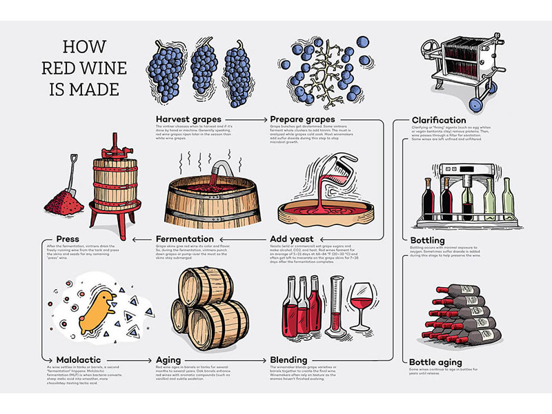 rượu vang nam phi bb cabernet sauvignon