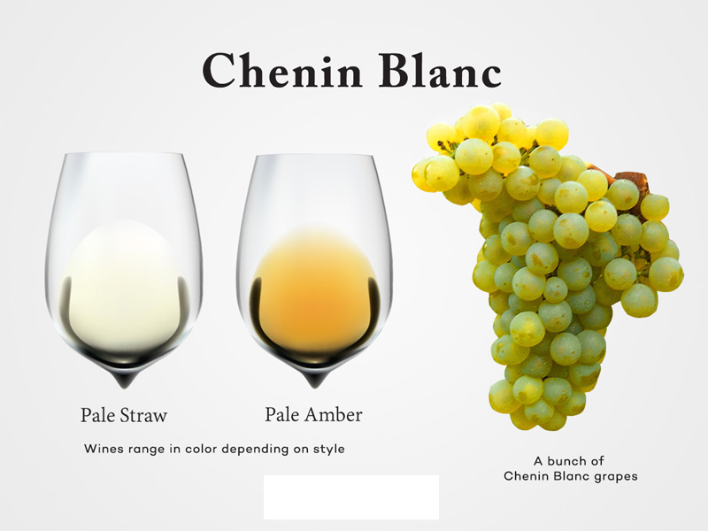 rượu vang nam phi paris night premium