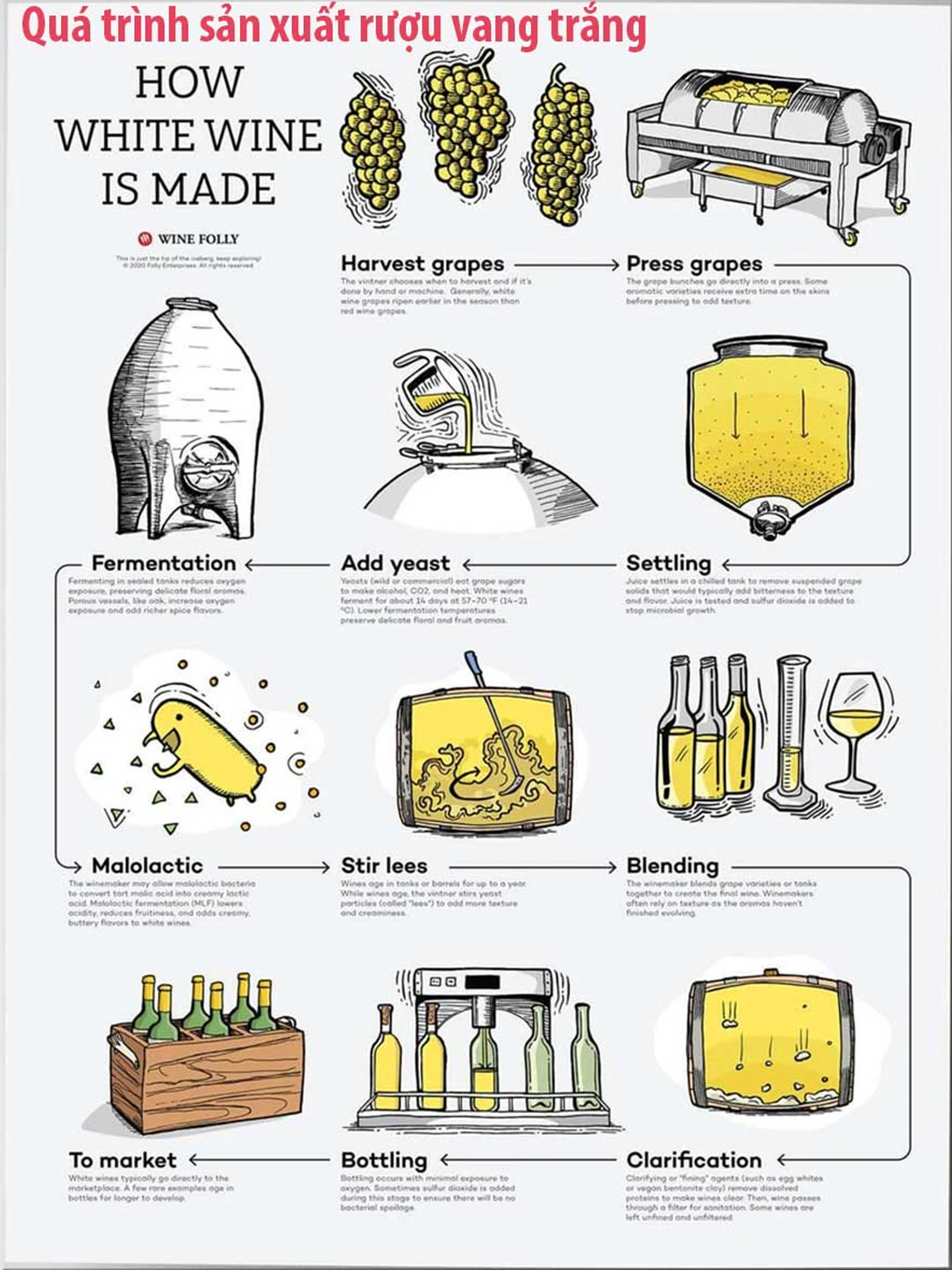 rượu vang pháp albert bichot adelie mercurey les champs michaux