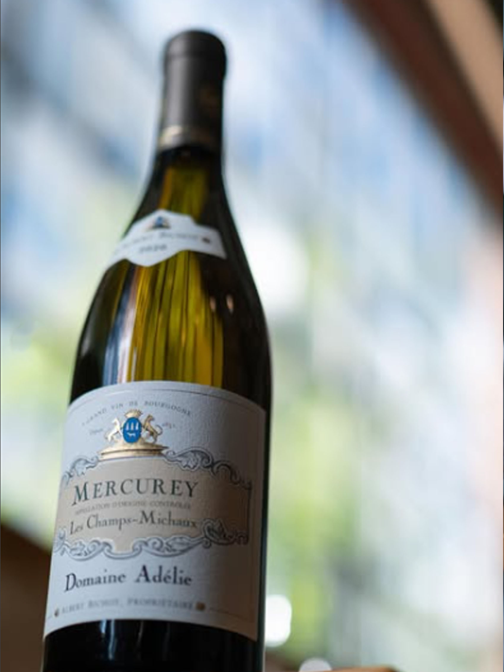 rượu vang pháp albert bichot adelie mercurey les champs michaux