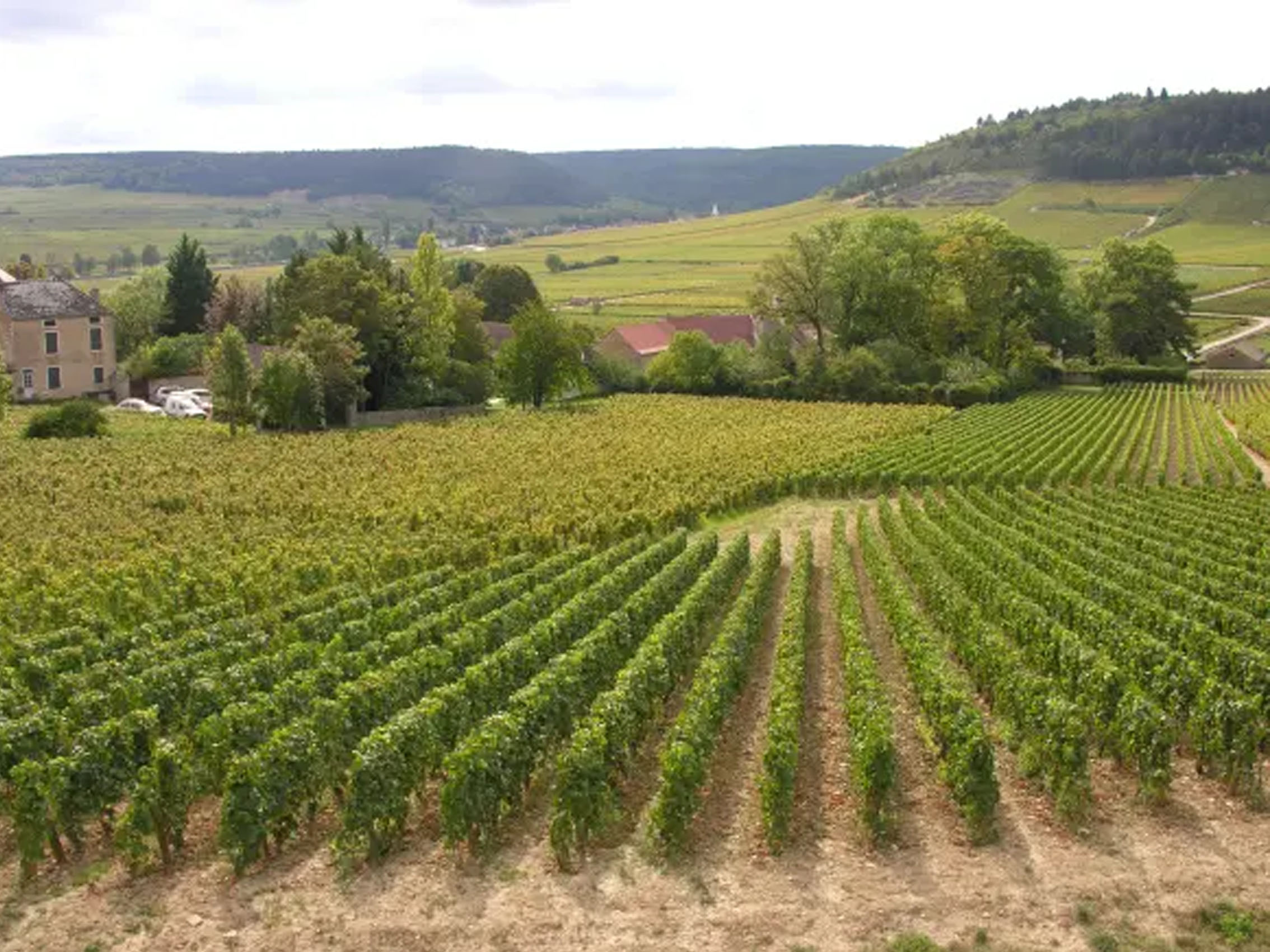 rượu vang pháp albert bichot adelie mercurey les champs michaux