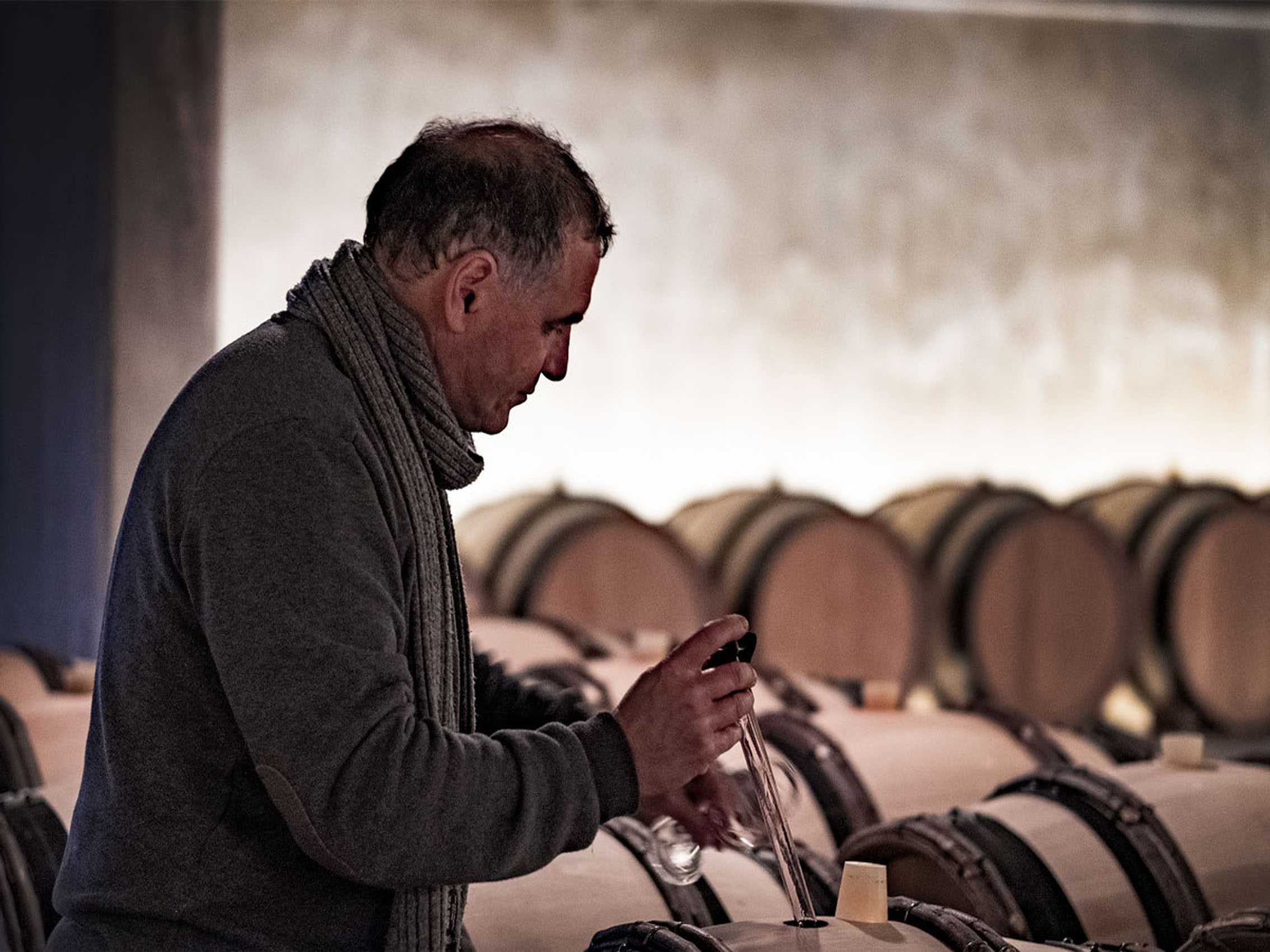 rượu vang pháp albert bichot bourgogne chardonnay cote d'or secret de famille