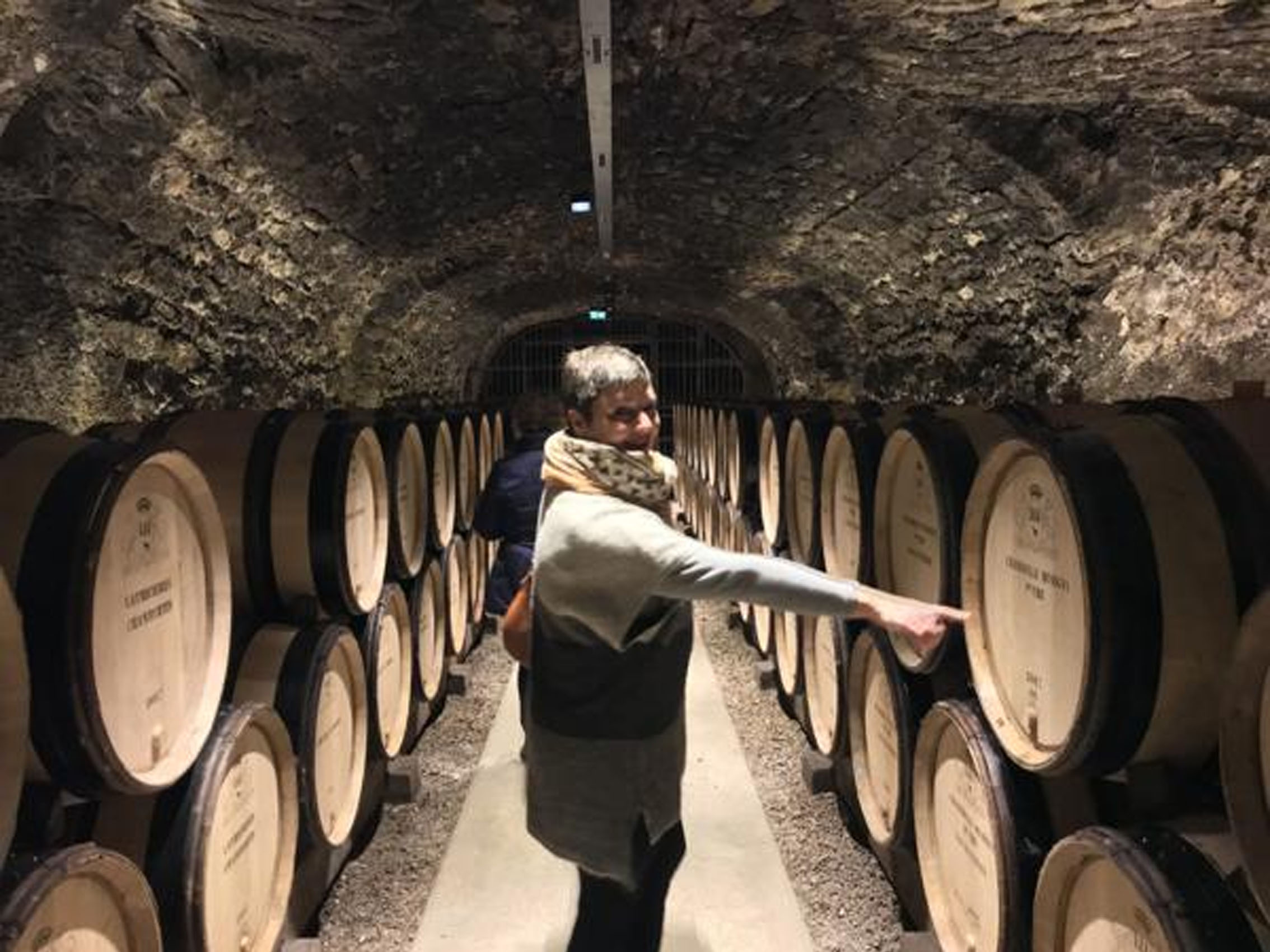 rượu vang pháp albert bichot bourgogne pinot noir origines