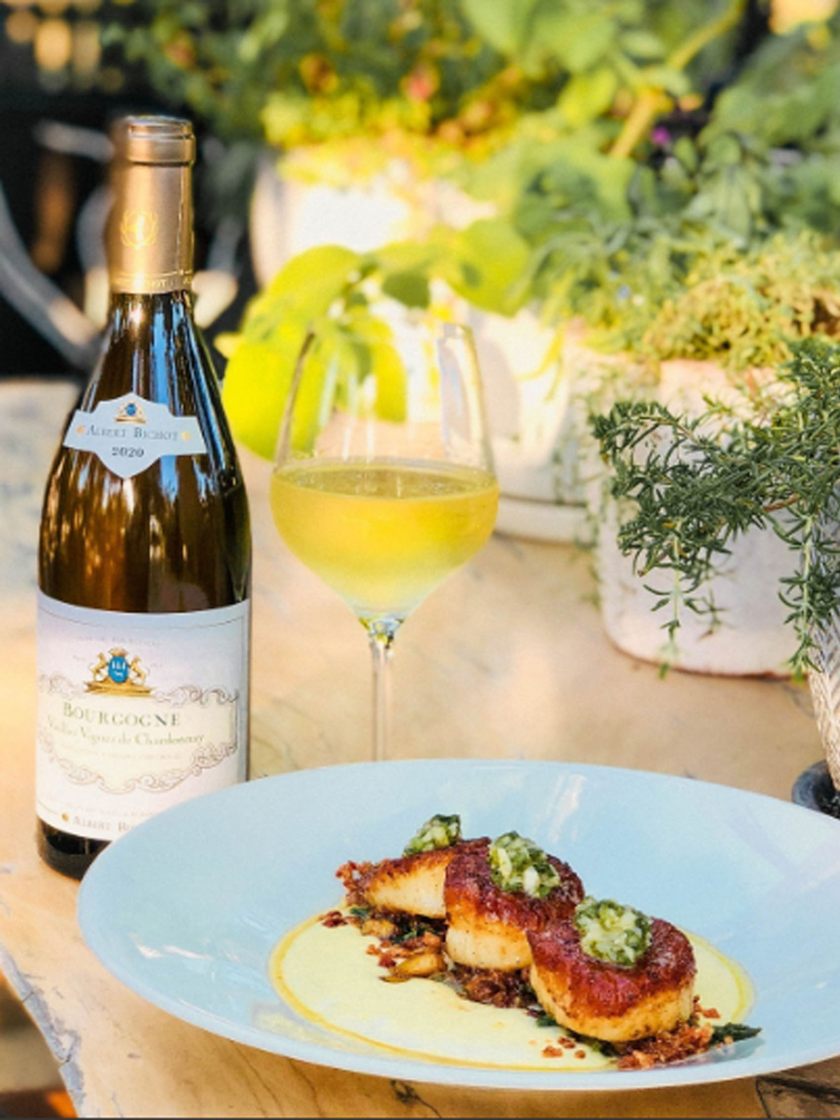 rượu vang pháp albert bichot bourgogne vieilles vignes de chardonnay