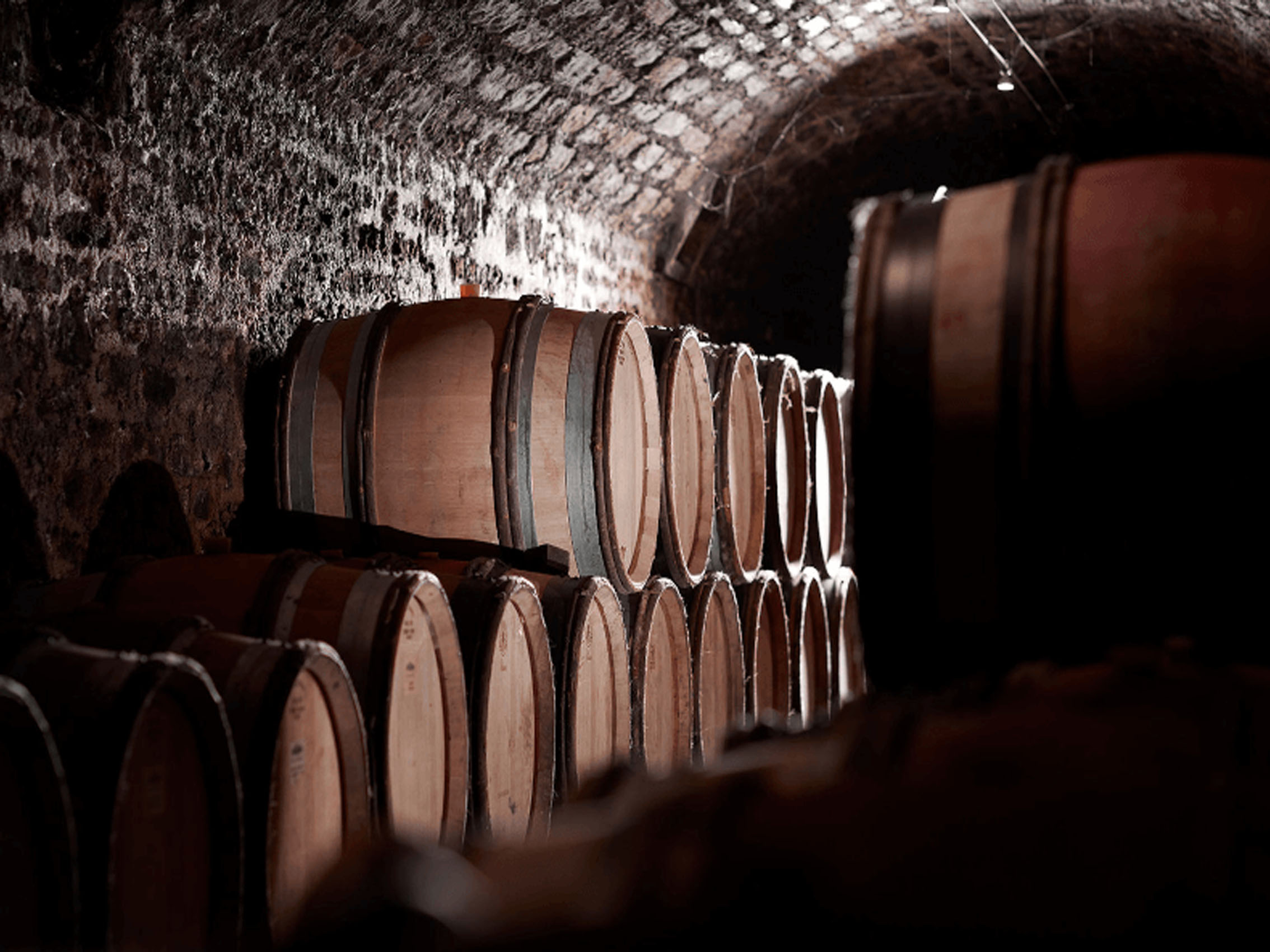 rượu vang pháp albert bichot bourgogne vieilles vignes de chardonnay