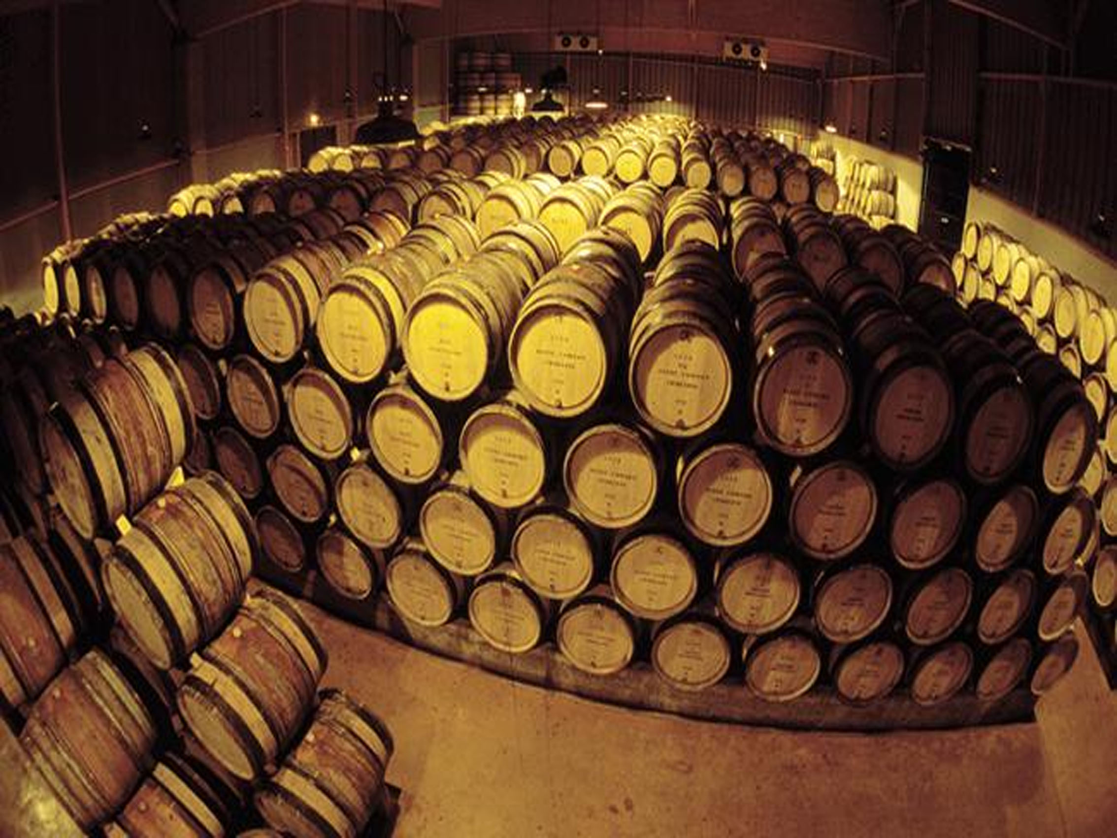 rượu vang pháp albert bichot chateau gris les terraces nuits-saint-georges monopole