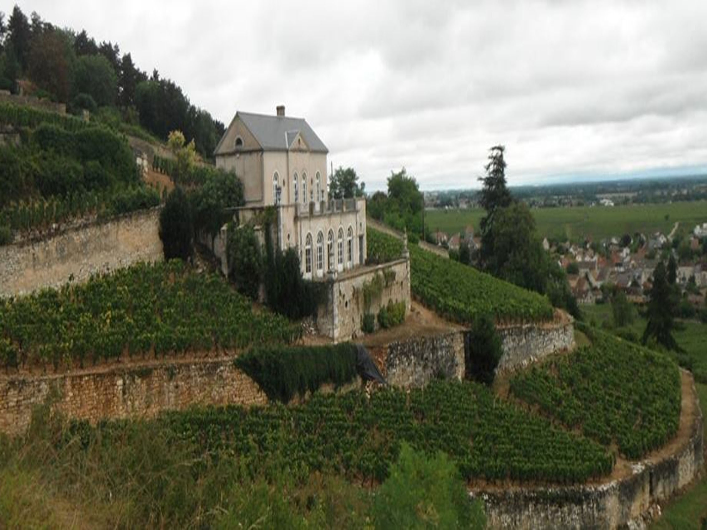 rượu vang pháp albert bichot chateau gris les terraces nuits-saint-georges monopole