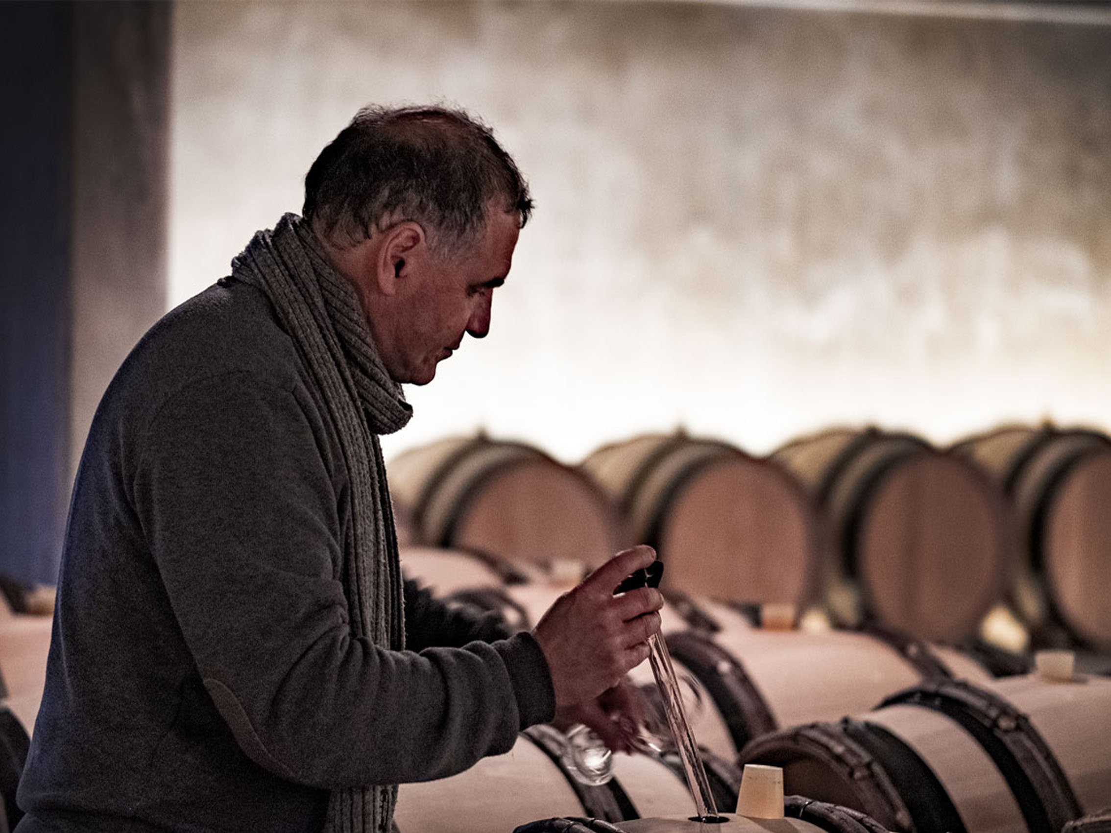 rượu vang pháp albert bichot côteaux bourguignons 2020