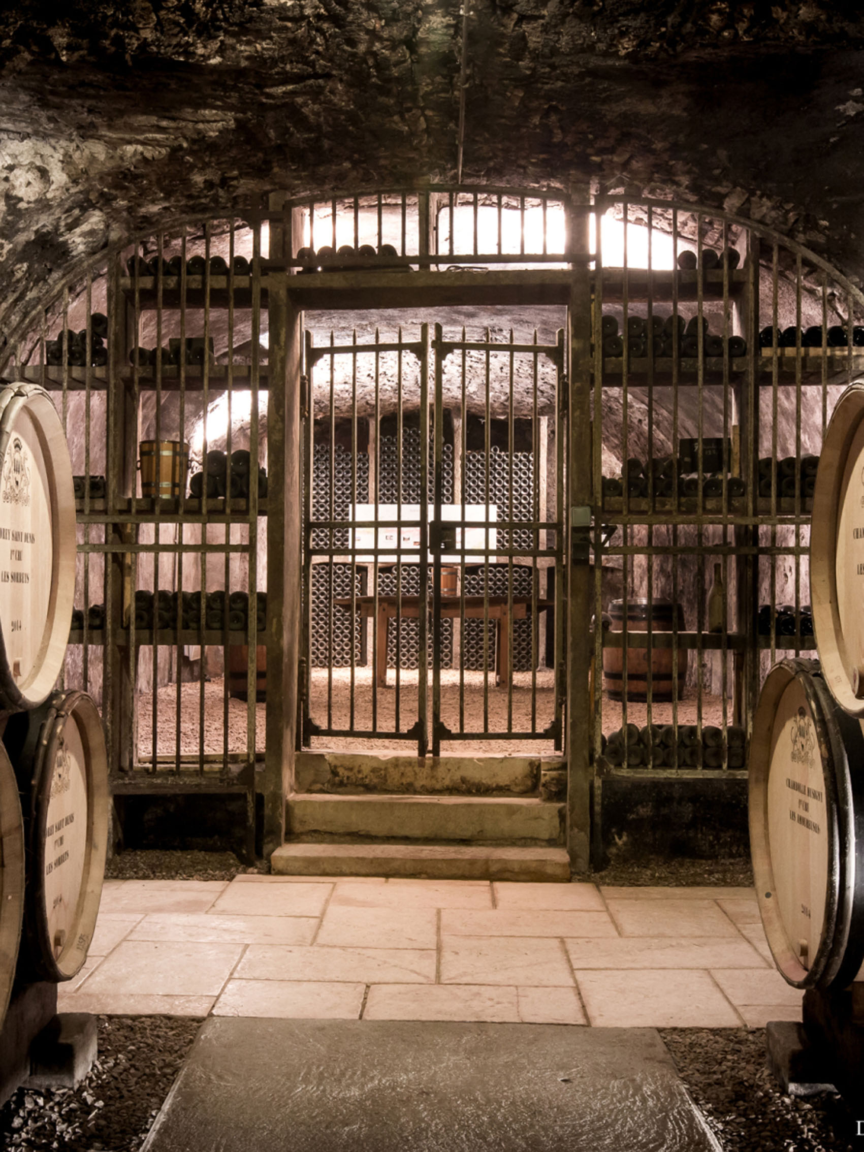 rượu vang pháp albert bichot domaine du pavillon beaune premier cru clos des mouches 2018