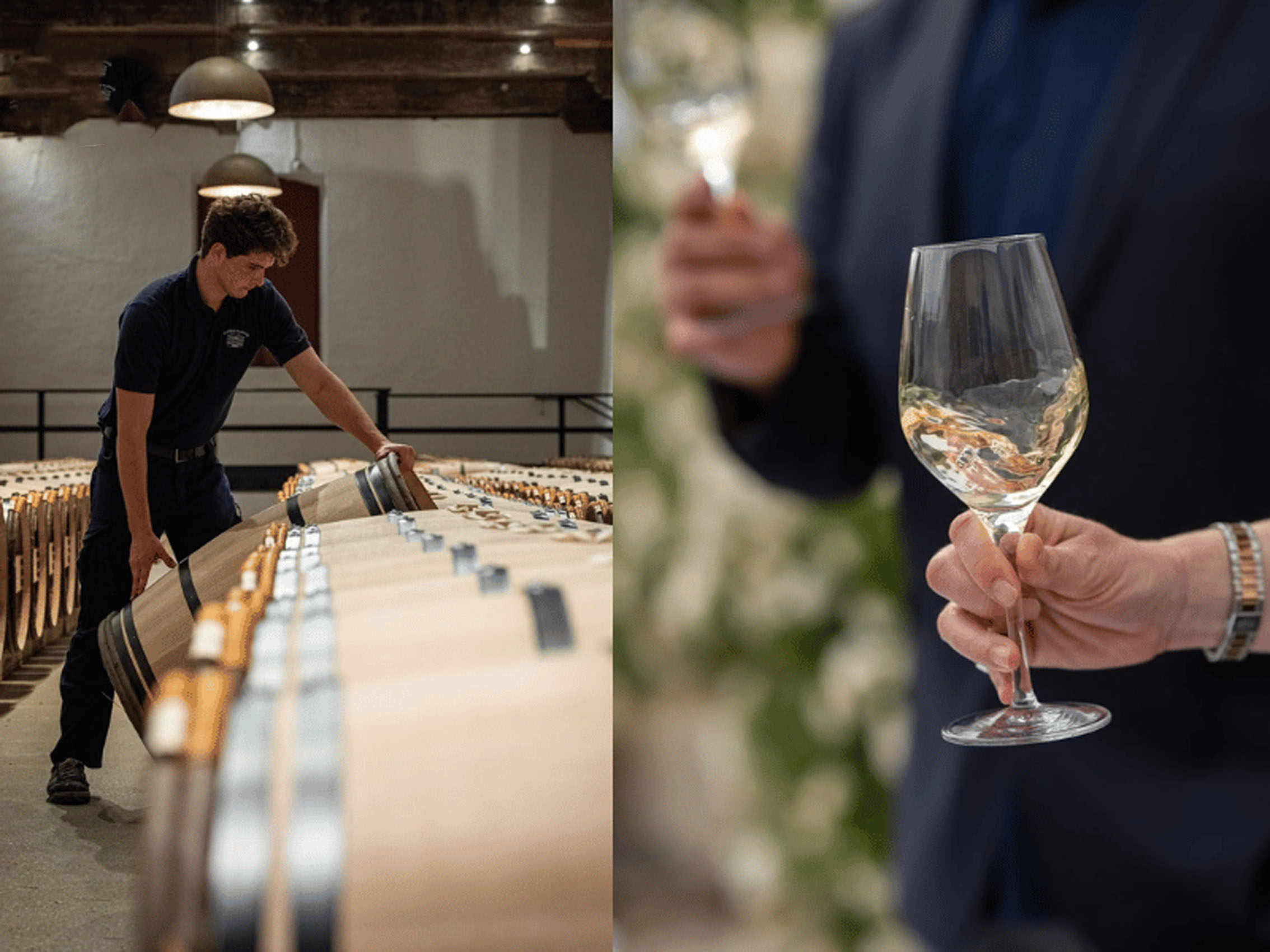 rượu vang pháp albert bichot domaine du pavillon meursault premier cru les charmes