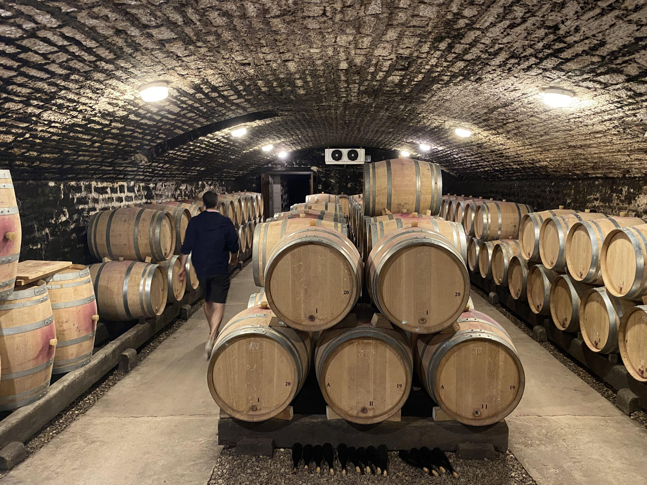 rượu vang pháp albert bichot domaine long-depaquit chablis grand cru les blanchots 2018