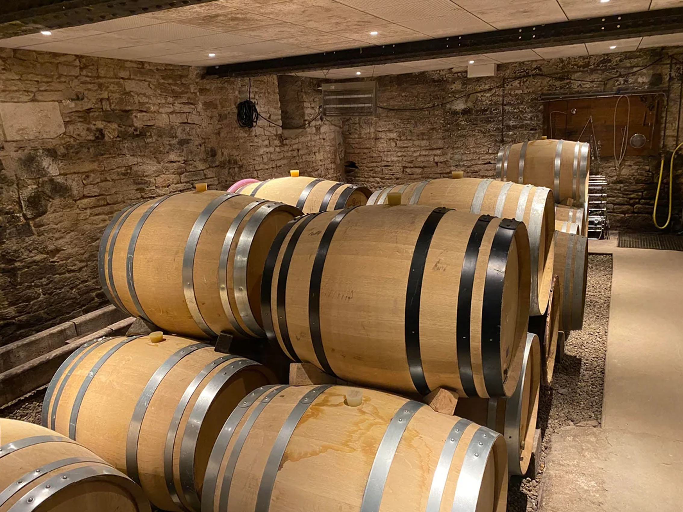 rượu vang pháp albert bichot domaine long-depaquit chablis grand cru les blanchots 2020