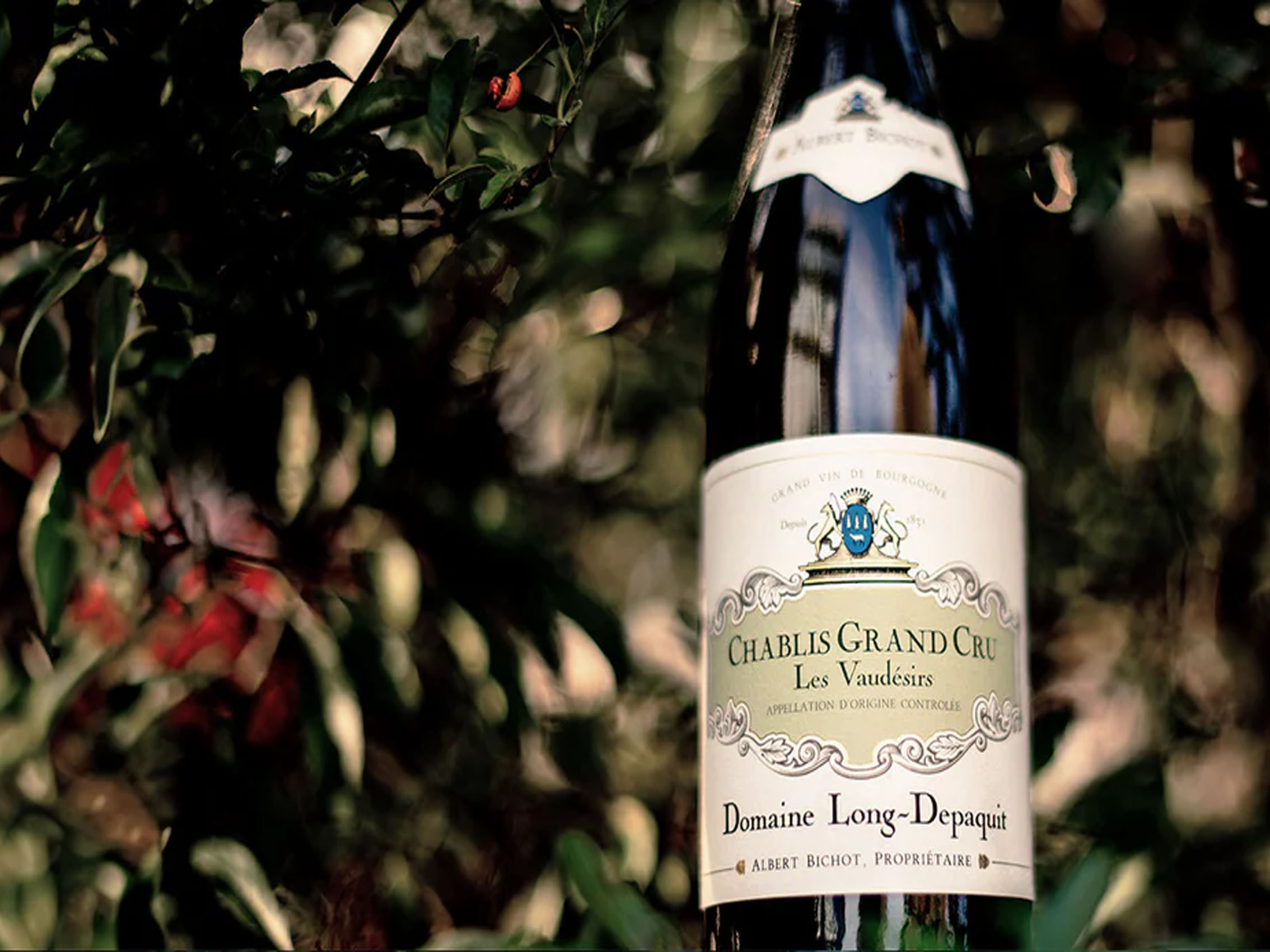 rượu vang pháp albert bichot domaine long-depaquit chablis grand cru les vaudésirs