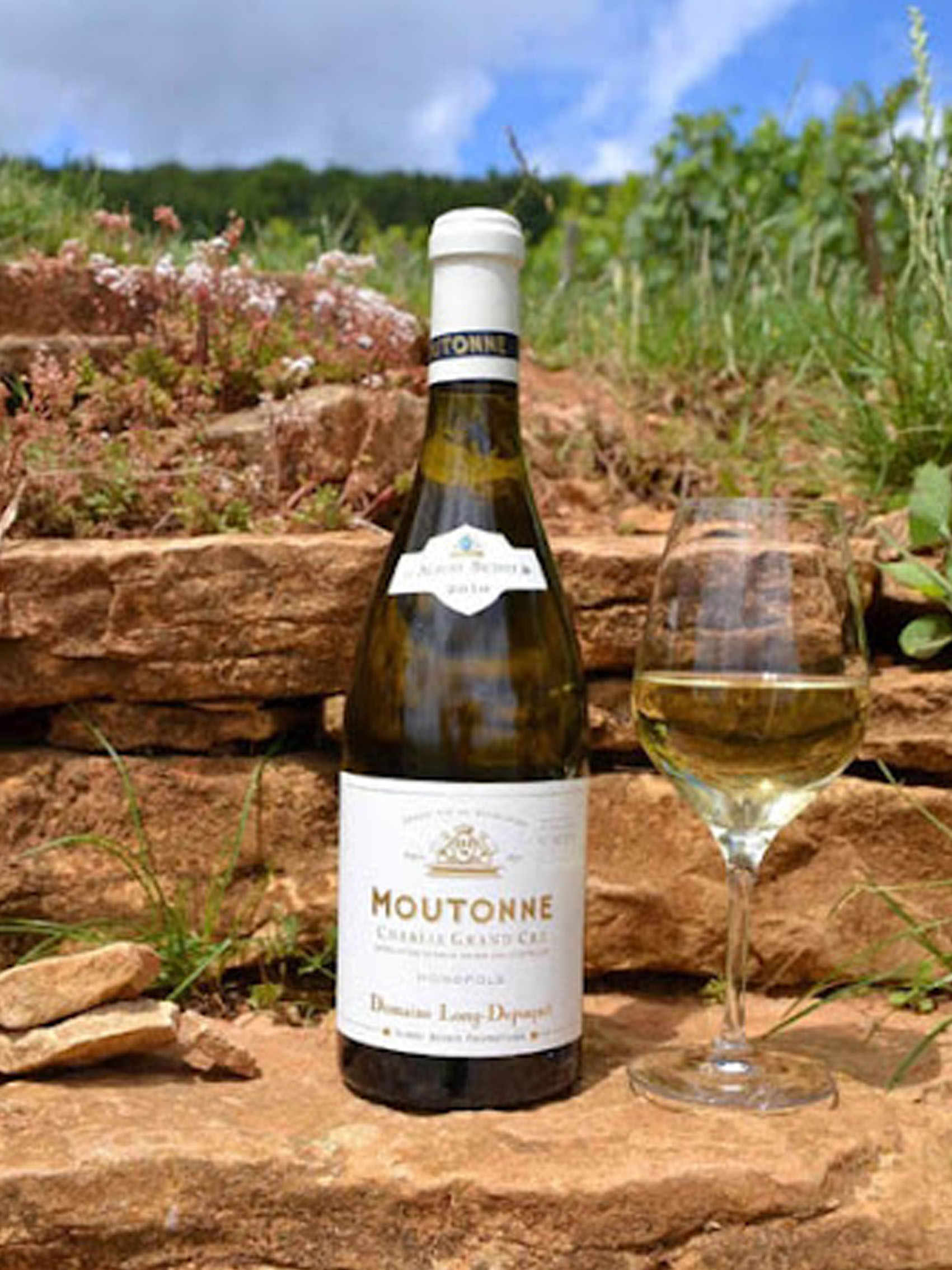 rượu vang pháp albert bichot domaine long-depaquit chablis grand cru moutonne monopole 2019