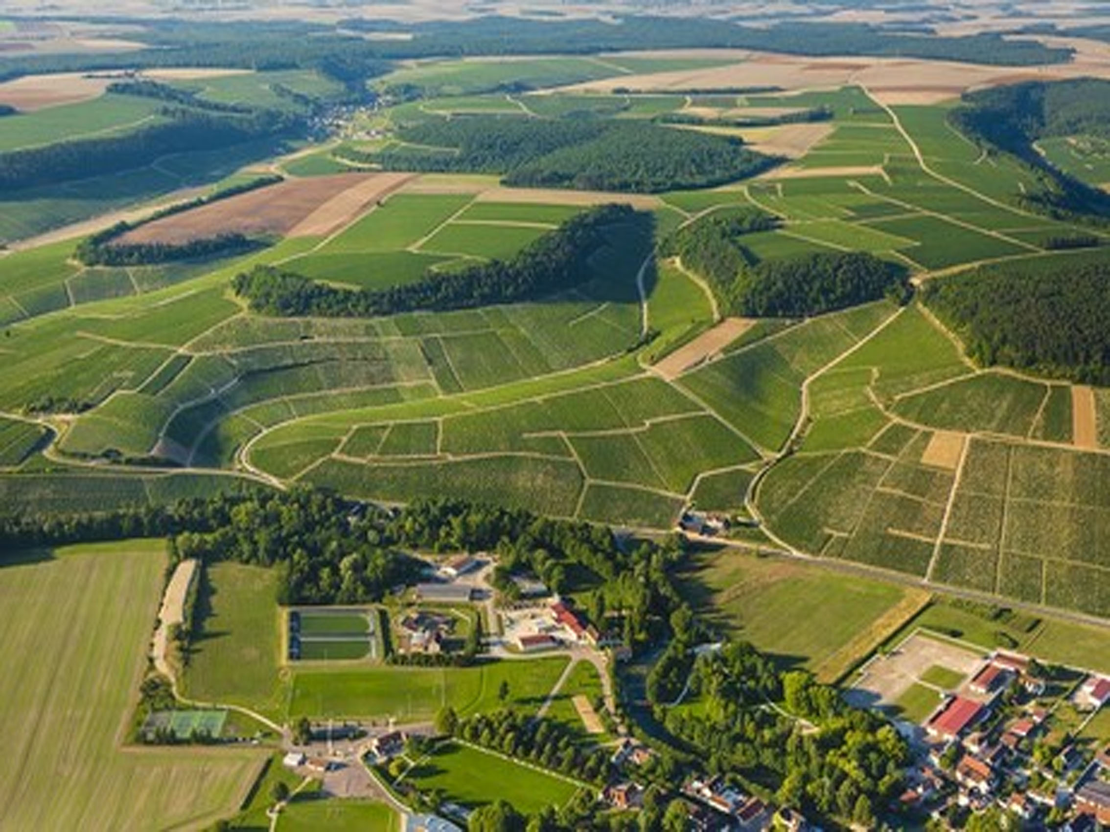 rượu vang pháp albert bichot domaine long-depaquit chablis grand cru moutonne monopole 2019