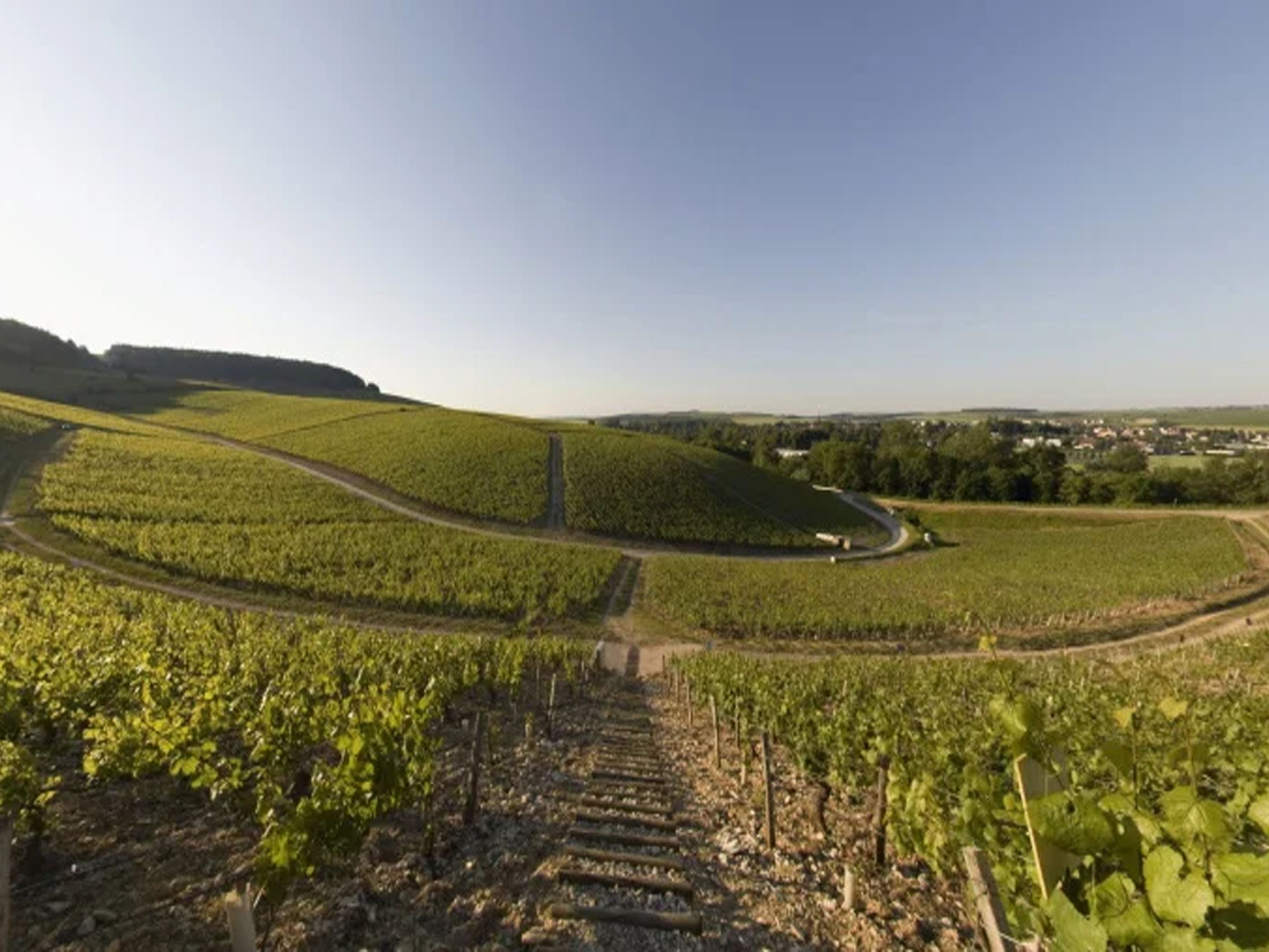 rượu vang pháp albert bichot domaine long depaquit chablis premier cru les vaillons 2020