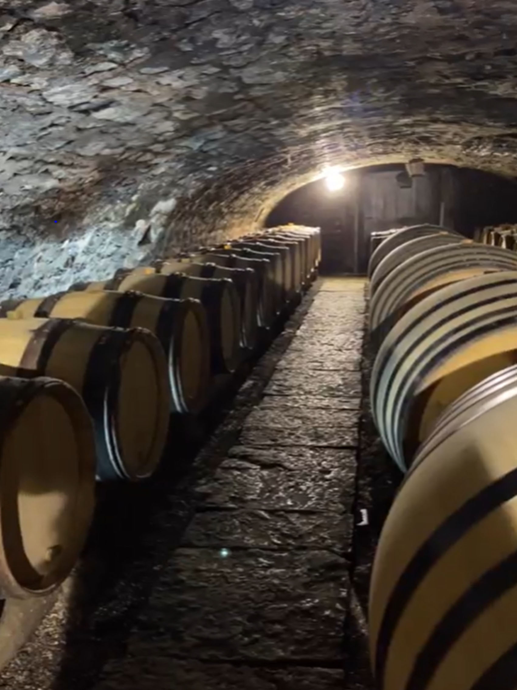 rượu vang pháp albert bichot domaine long depaquit chablis premier cru les vaillons 2022