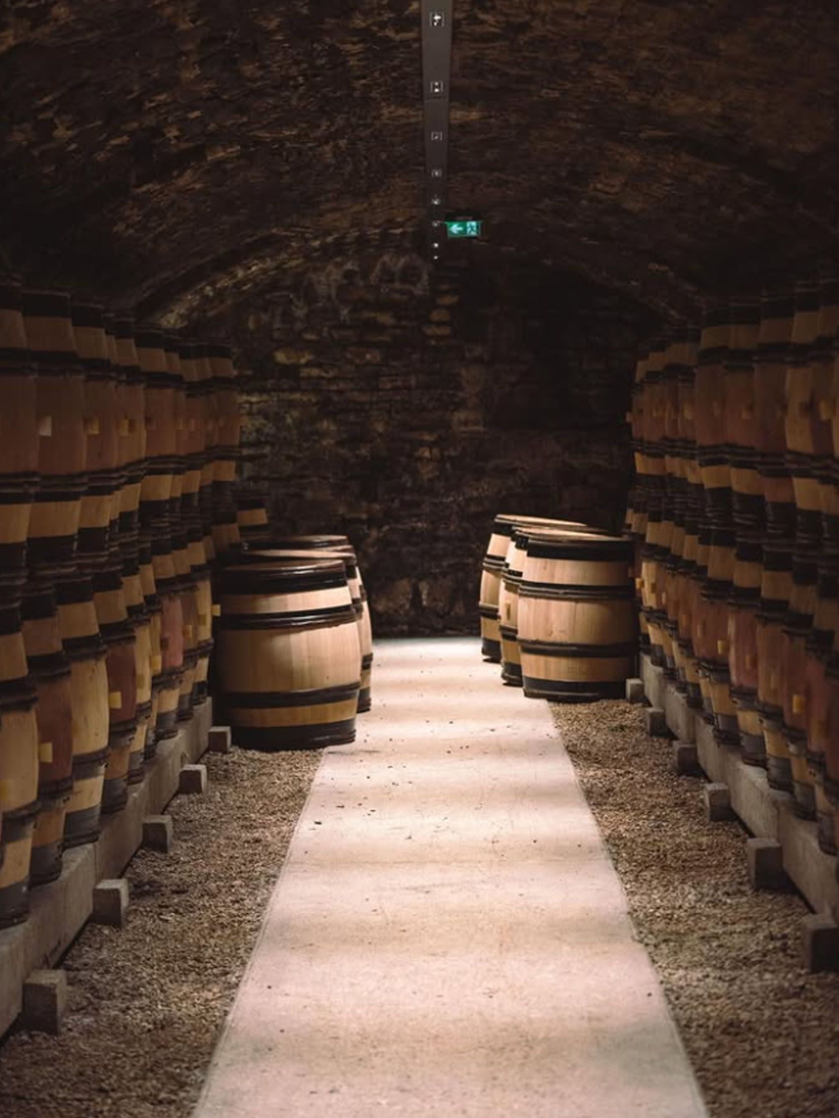 rượu vang pháp albert bichot petit-chablis 2020