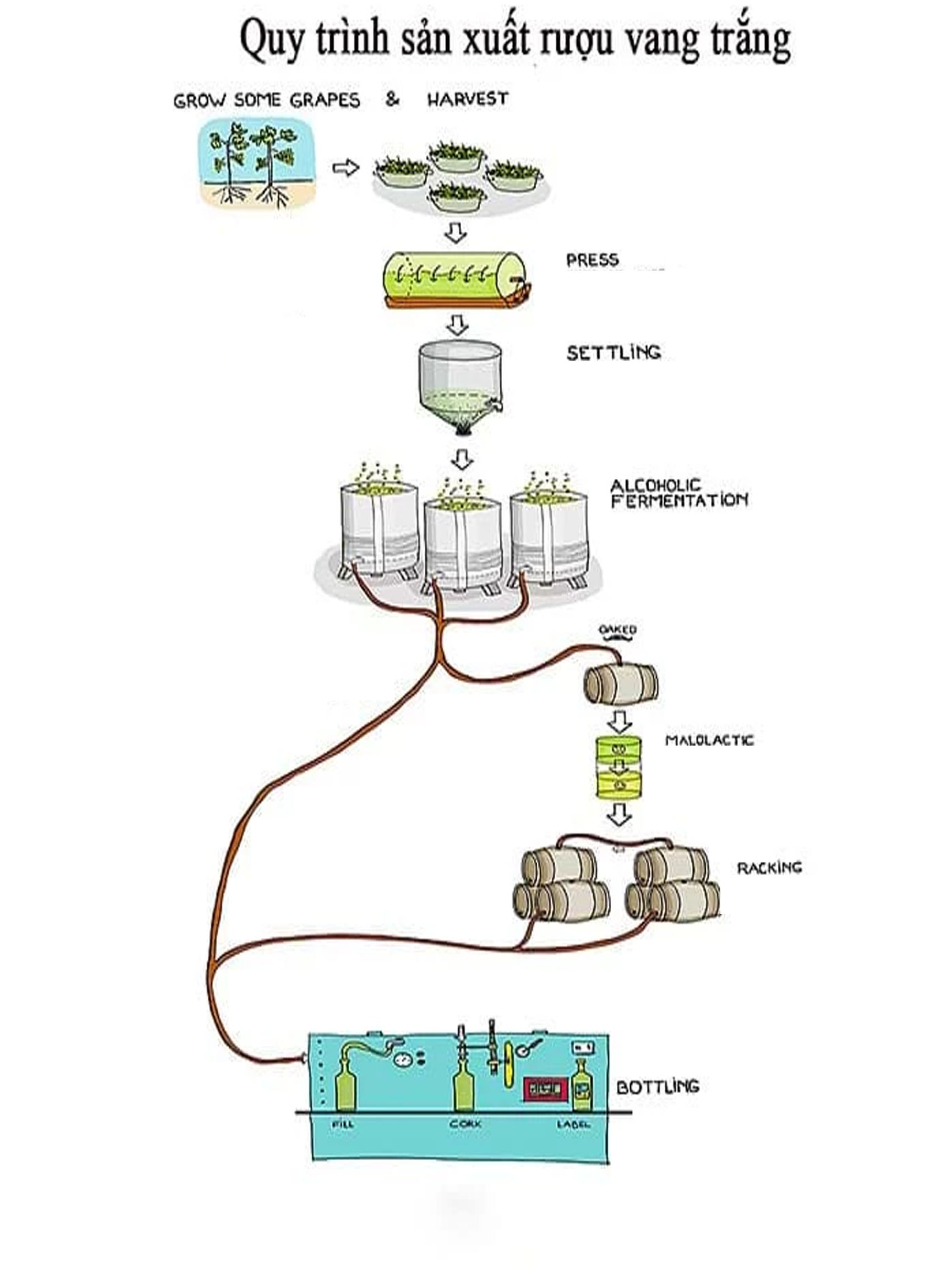 rượu vang pháp albert bichot santenay