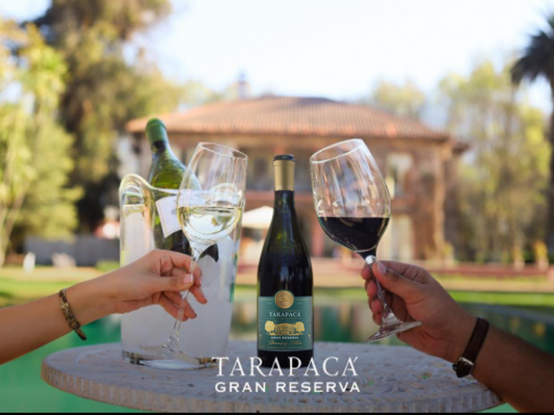 rượu vang tarapaca gran reserva 150th anniversary edittion 