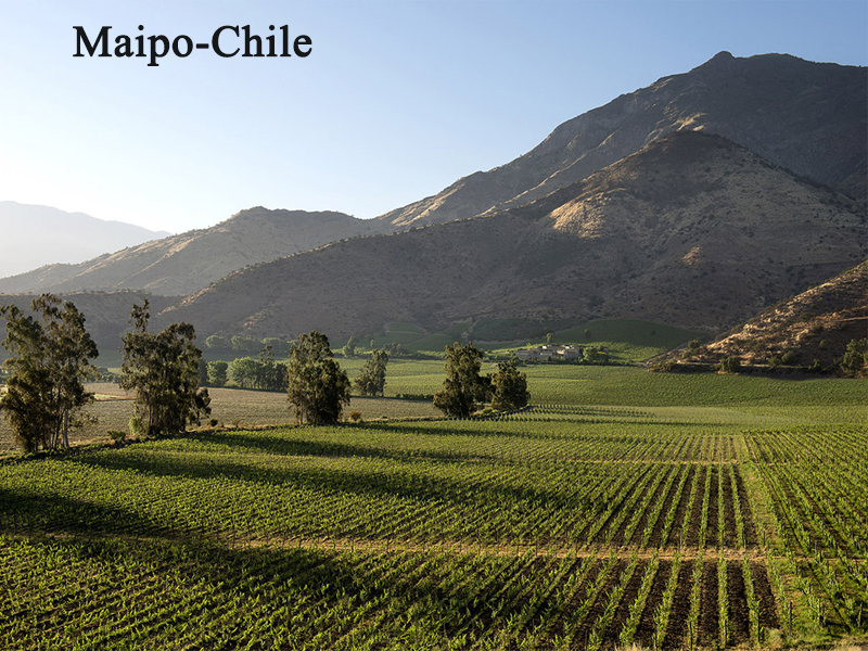 rượu vang tarapaca gran reserva etiqueta negra cabernet sauvignon