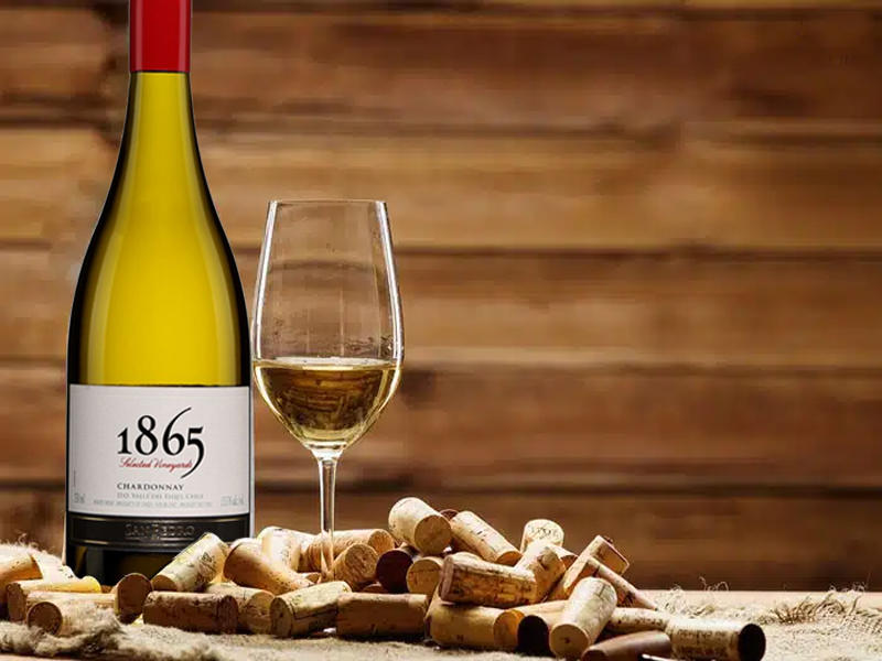 rượu vang trắng chile 1865 chardonnay