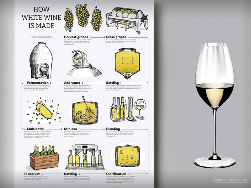 rượu vang trắng nam phi chenin blanc linada 2023