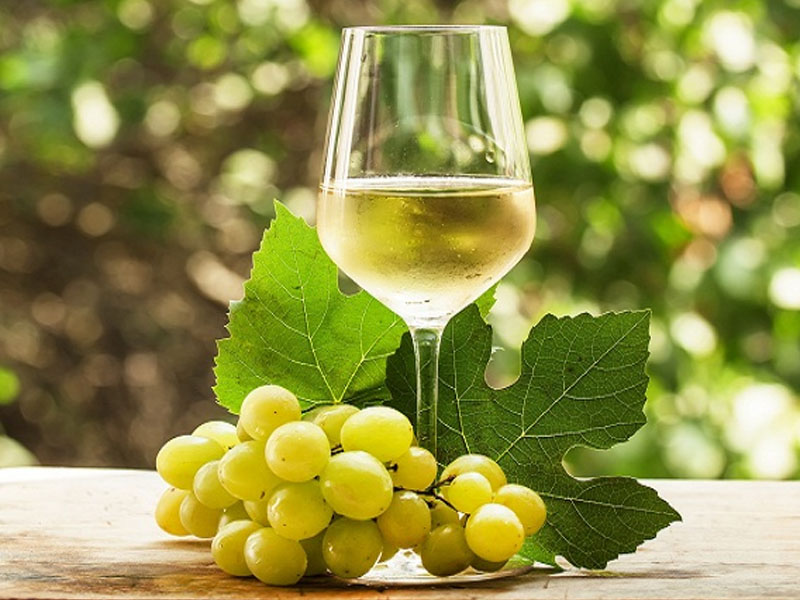 vang chile 9 lives fierce sauvignon blanc